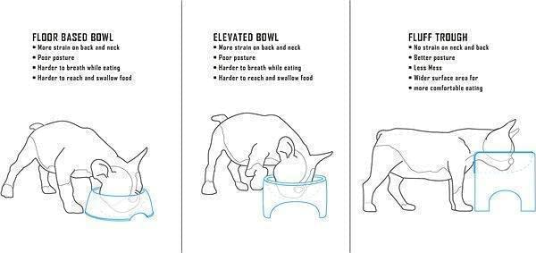 Fluff Trough BPA-free vet-approved food-safe design for pets.
