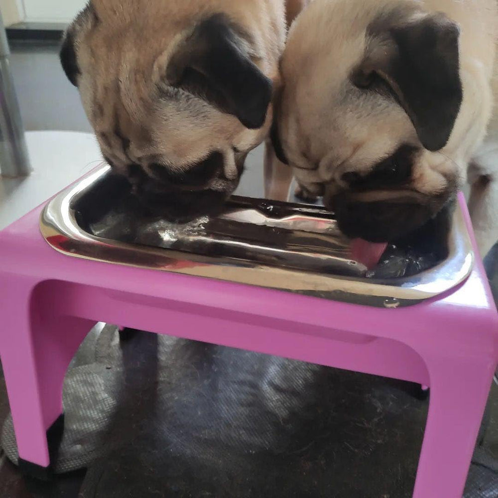 Fluff Trough dishwasher-safe top rack, easy cleanup after meals.