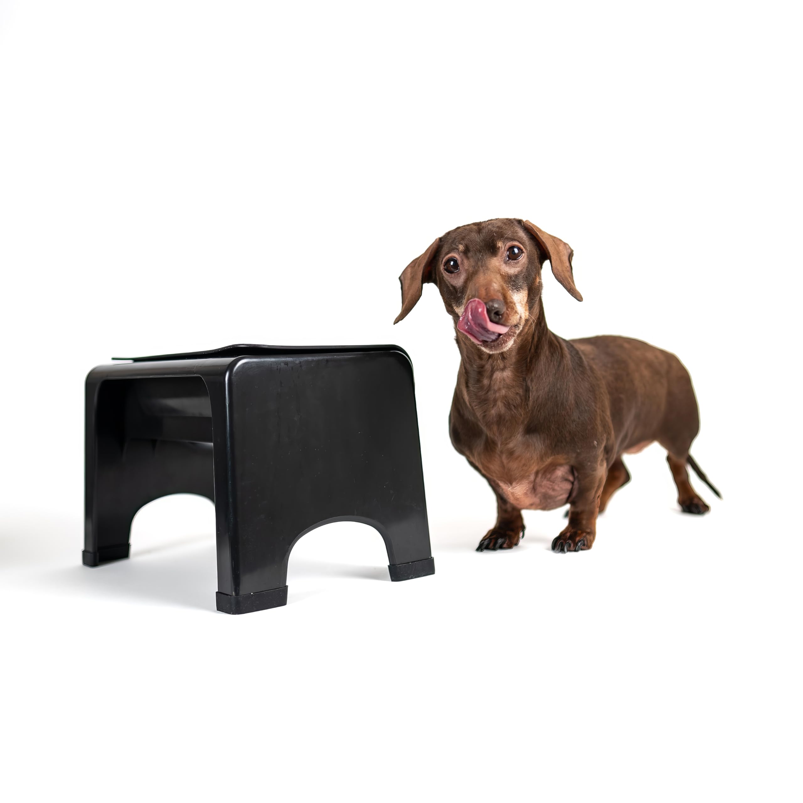 Fluff Trough elevated dog bowl stand emphasizes ergonomic design for natural eating motion.