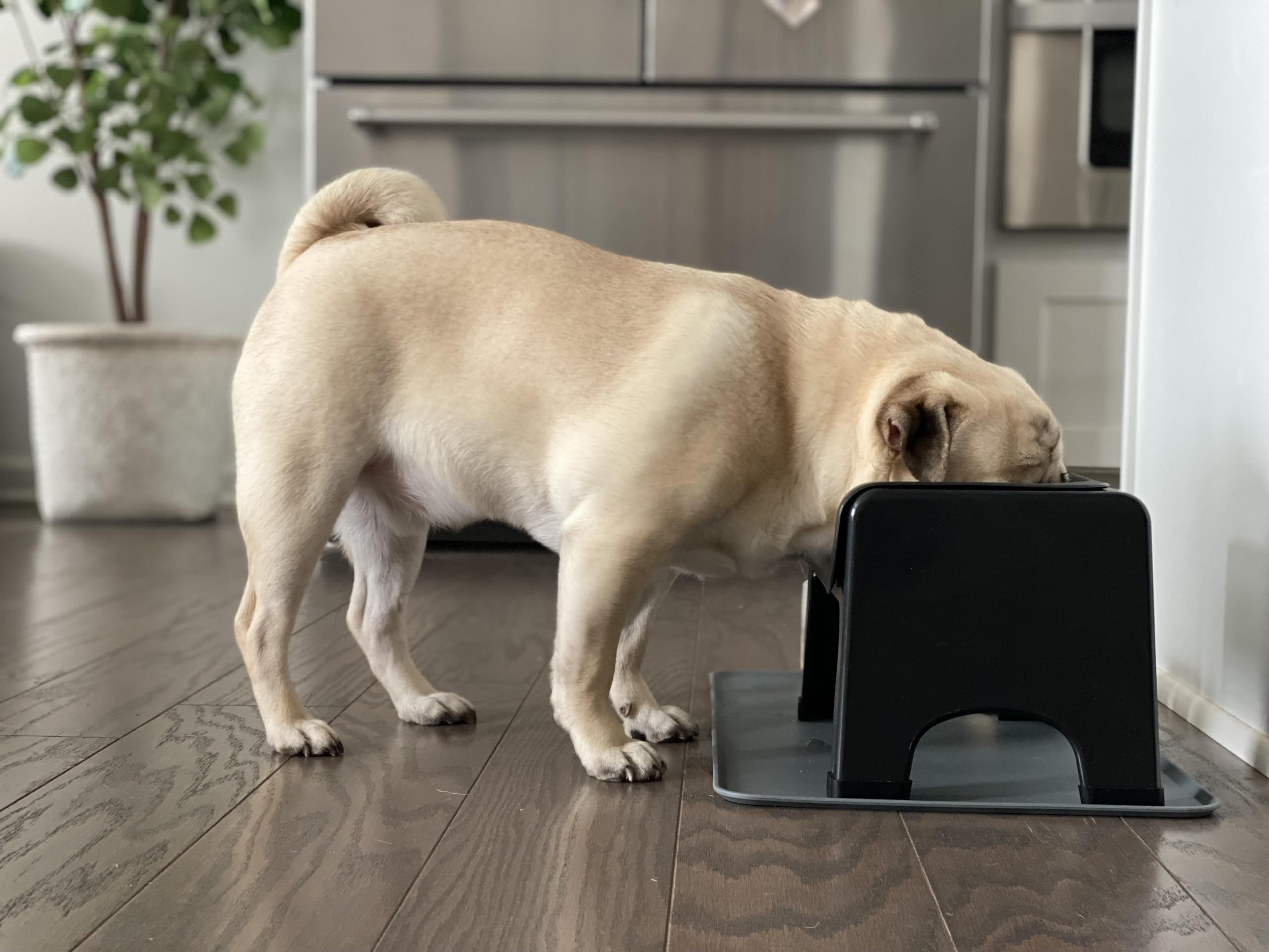 Fluff Trough elevated dog bowl stand side view highlights ergonomic height.