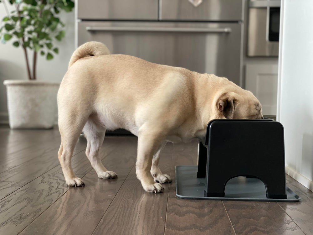 Fluff Trough elevated dog bowl stand side view highlights ergonomic height.