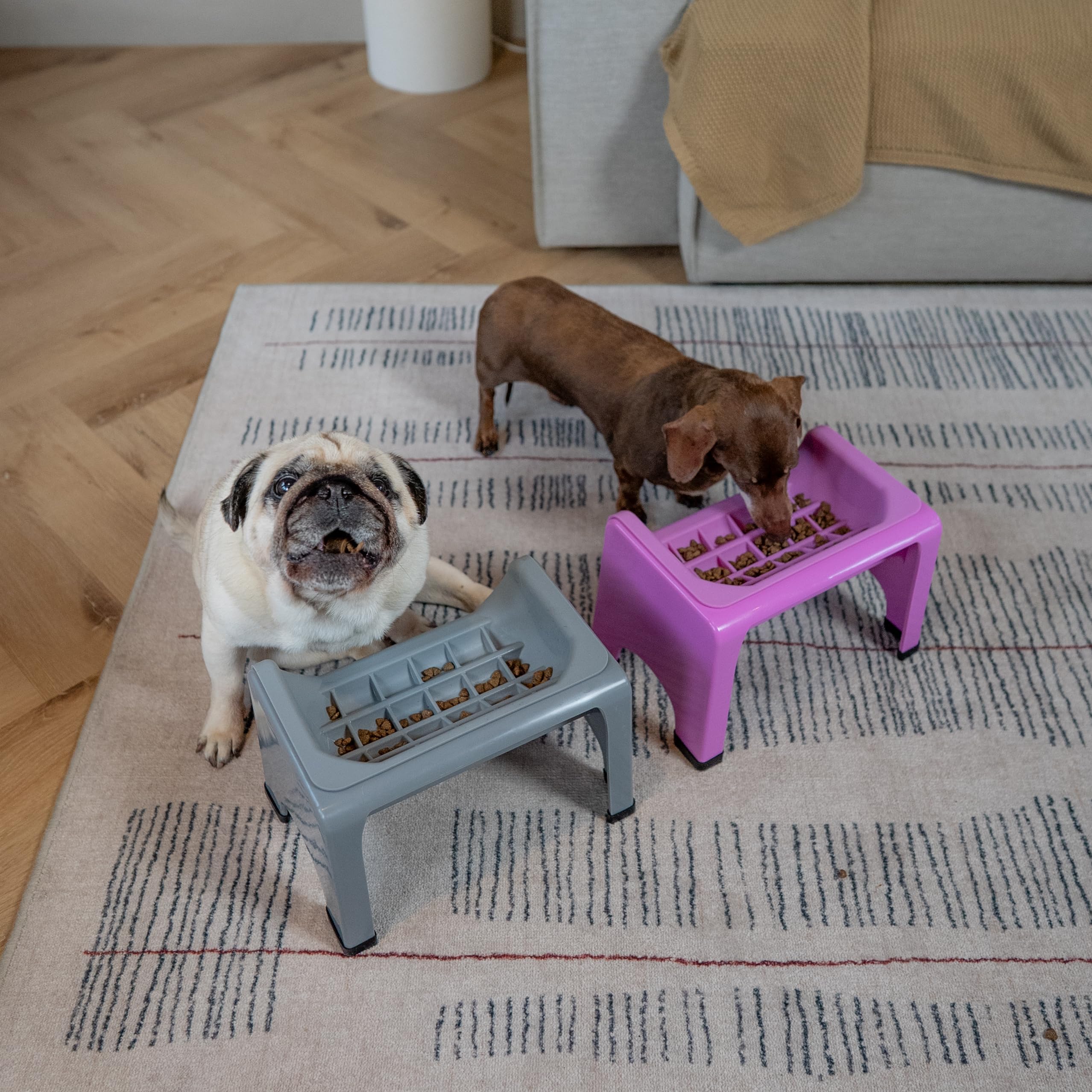 Fluff Trough ergonomic stand supports natural eating motion and reduces mess.