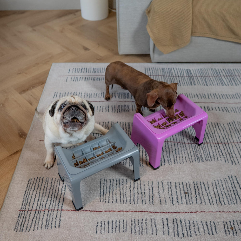 Fluff Trough ergonomic stand supports natural eating motion and reduces mess.
