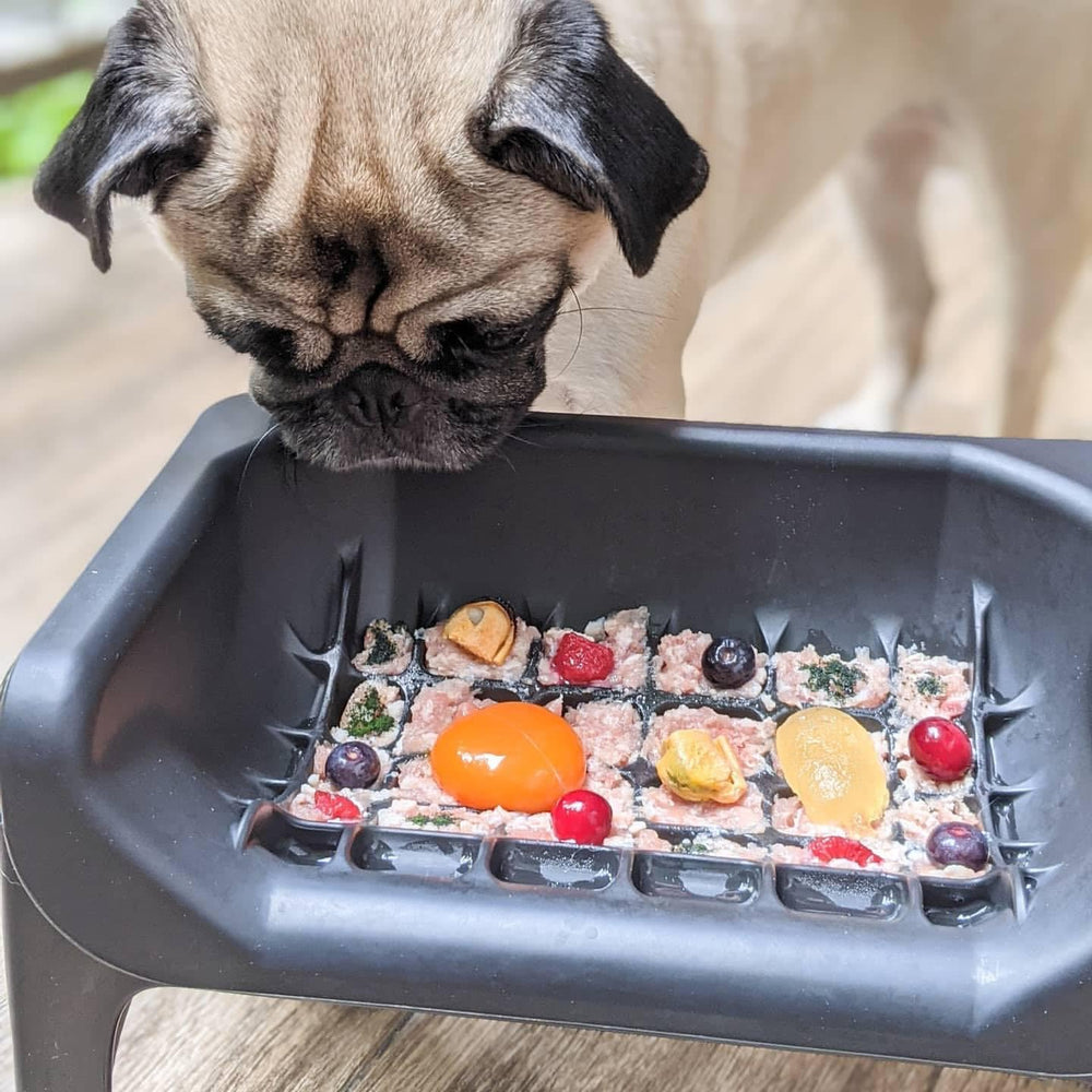 Fluff Trough flat-faced pets ergonomic design supports neck and back comfort.