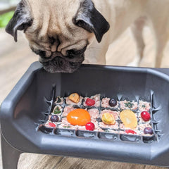 Fluff Trough flat-faced pets ergonomic design supports neck and back comfort.