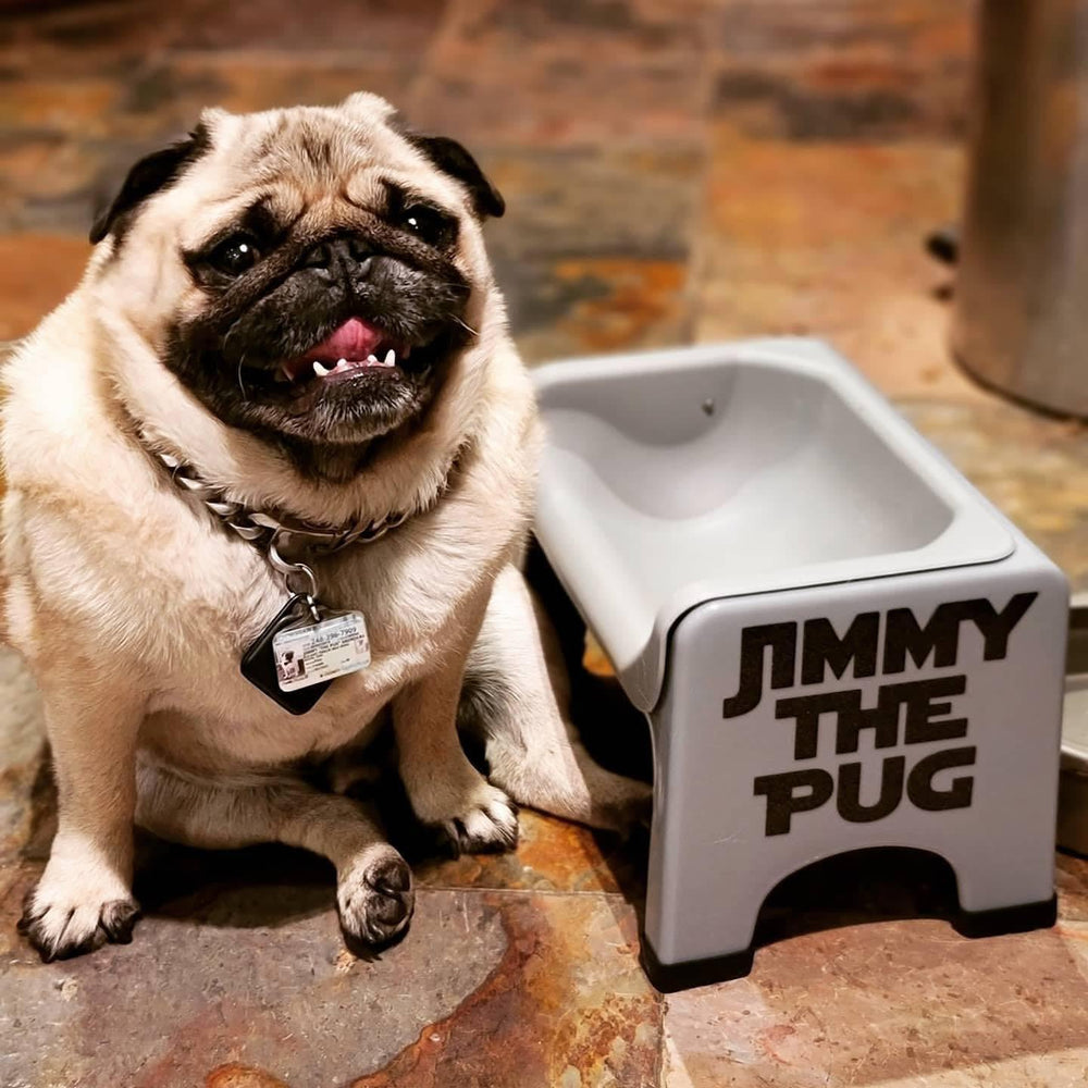 Fluff Trough gray elevated bowl designed for small to medium pets.