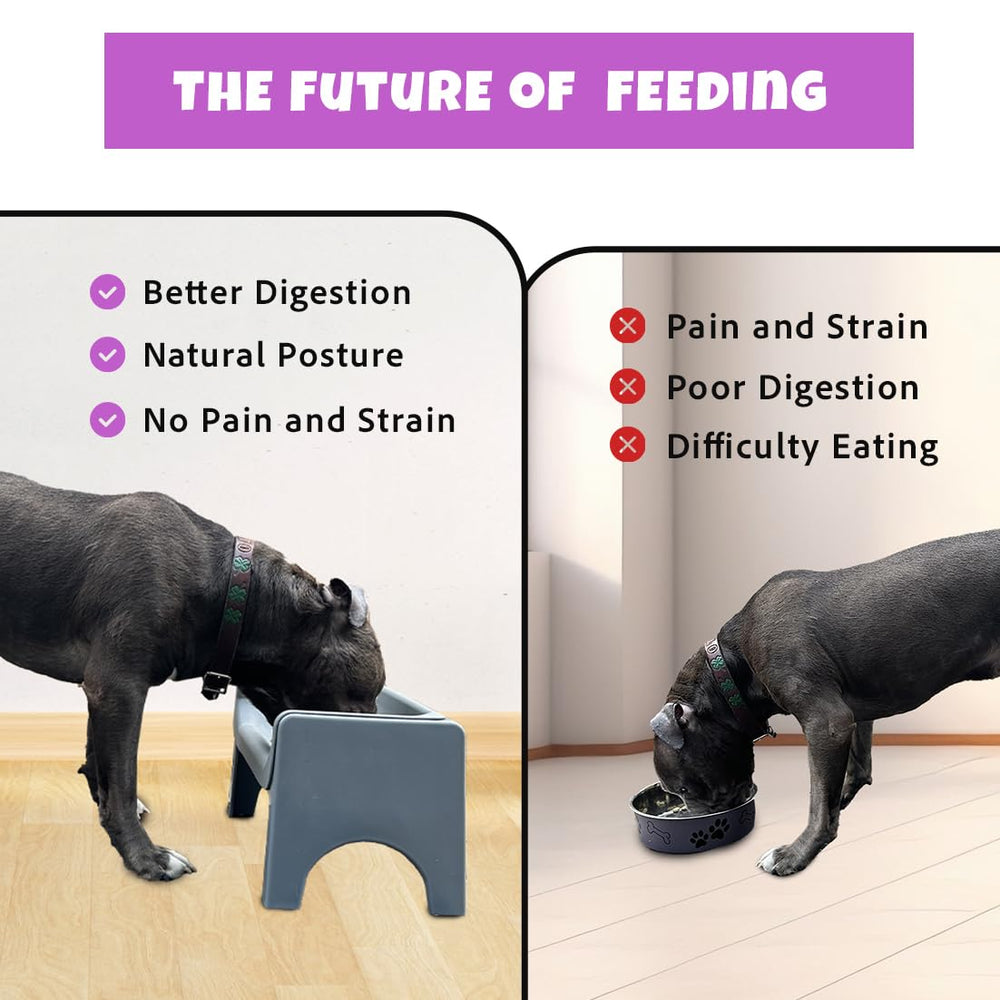 Fluff Trough small dog meal setup, tidy and ergonomic feeding station.