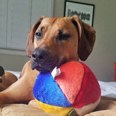 Fluff & Tuff Beach Ball plush fabric with thick outer layer for cuddly play.
