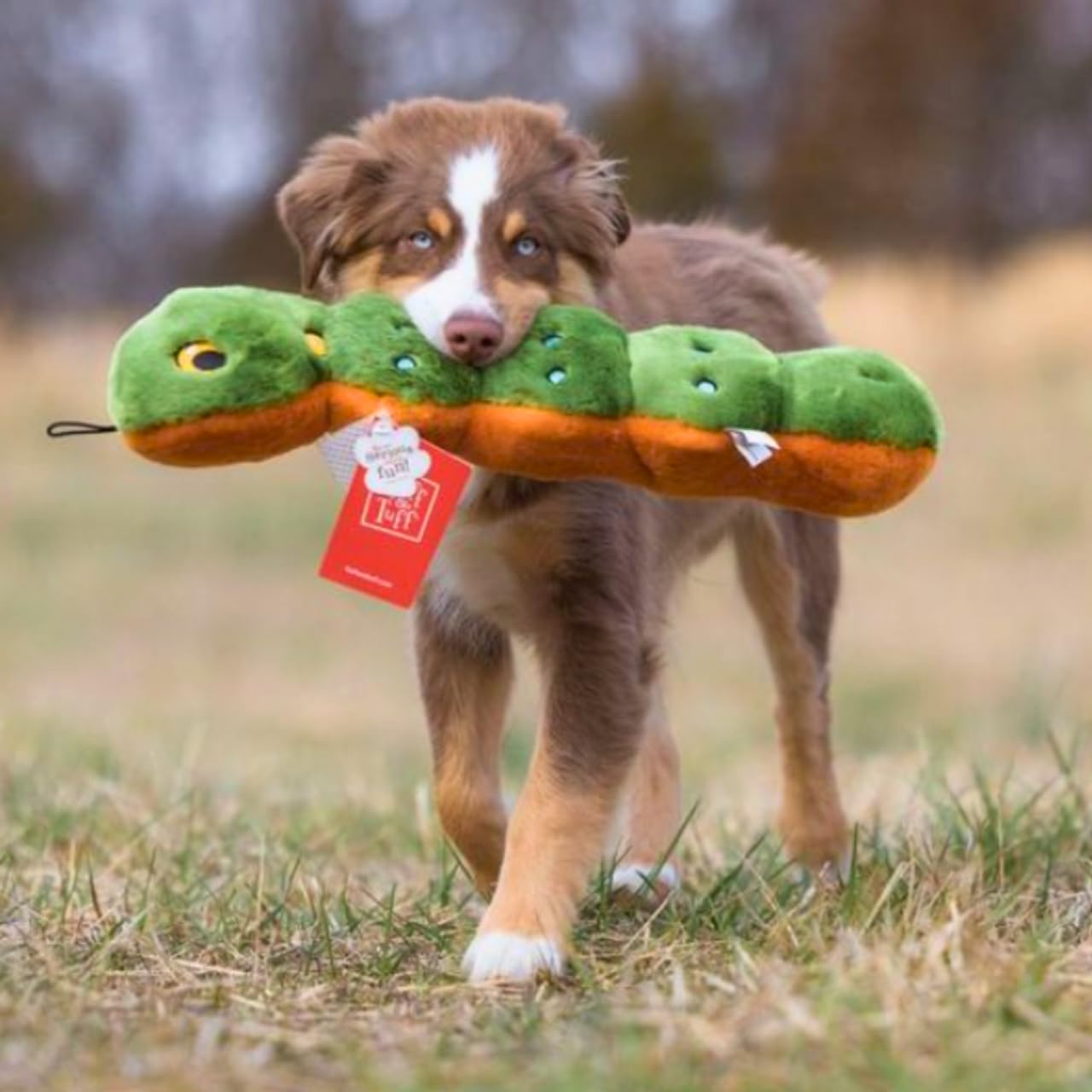 Embroidered eyes on Katie Caterpillar enhance safe, expressive play experiences.