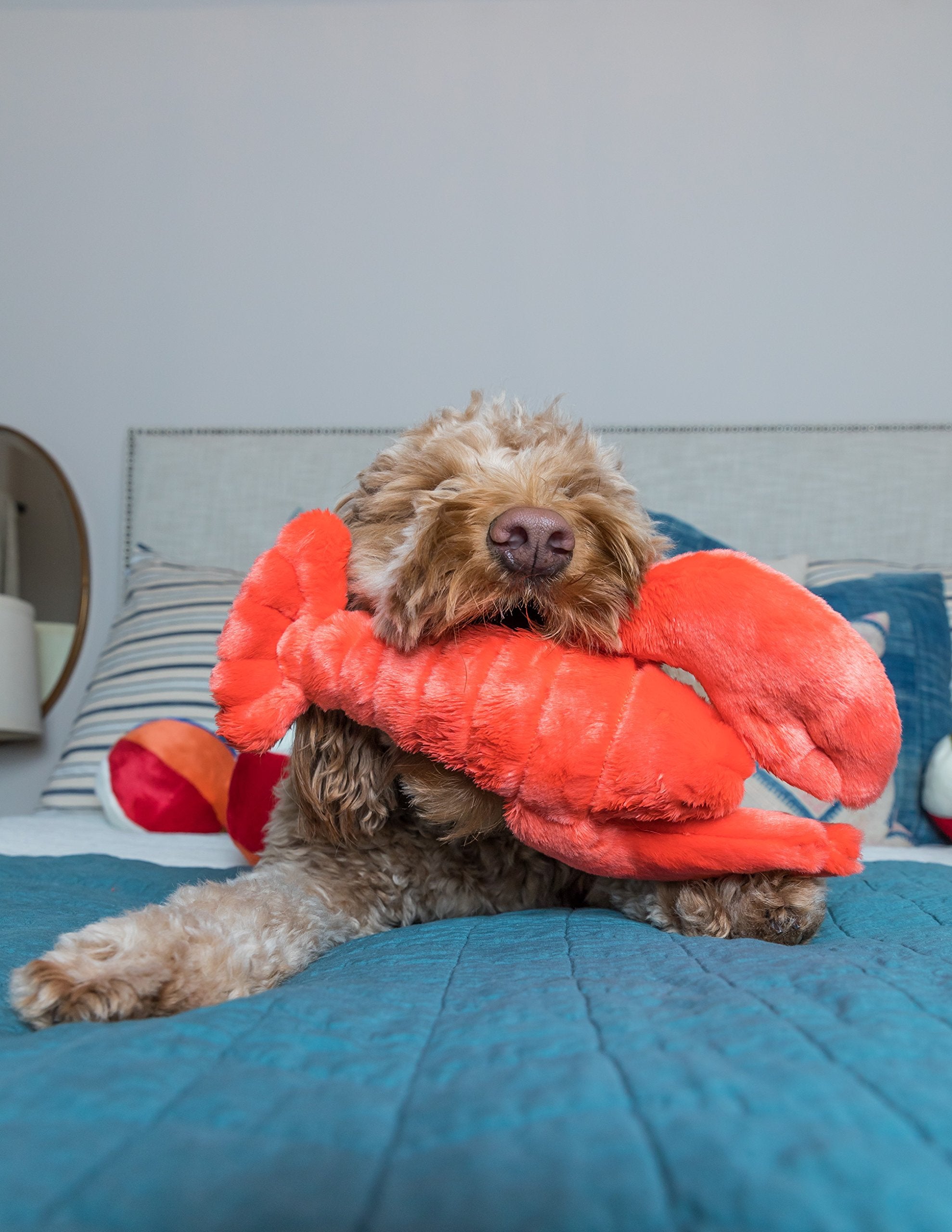Fluff & Tuff Manny Lobster eyes photo emphasizing embroidered safety features for supervision.