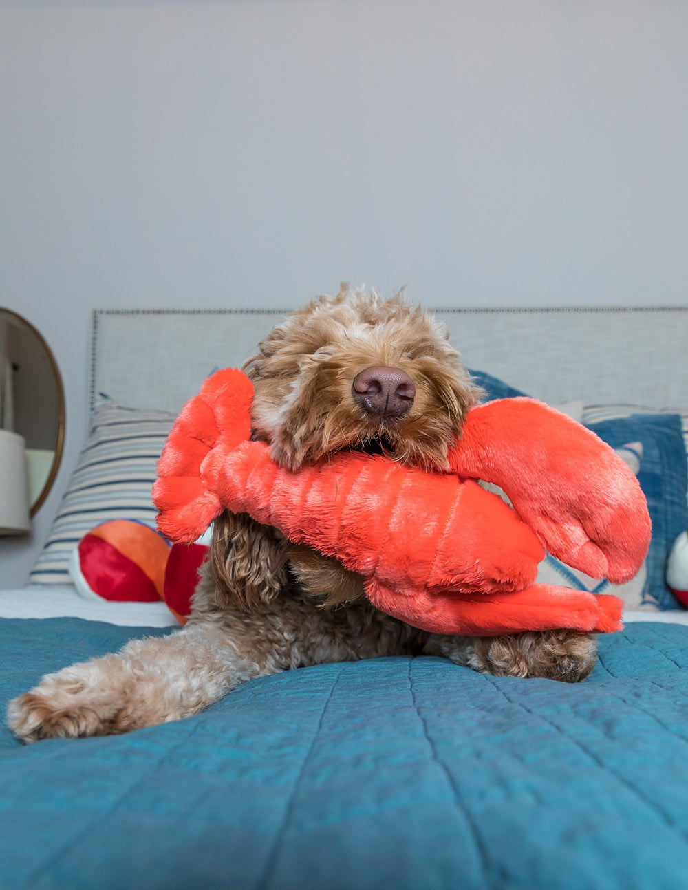 Fluff & Tuff Manny Lobster eyes photo emphasizing embroidered safety features for supervision.