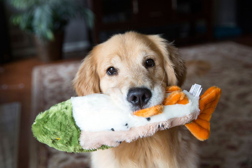 Fluff & Tuff Ruby Rainbow Trout toy with embroidered eyes ensuring safe, supervised play