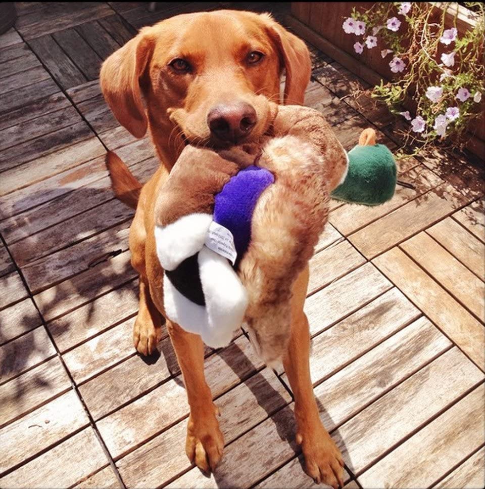 Fluff & Tuff Wally Mallard ultra-plush fabric offers soft, comforting touch during games