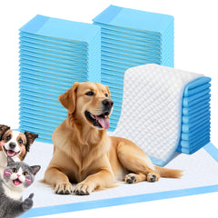 FluffyDream blue training pad with absorbent core protects floors during house training.