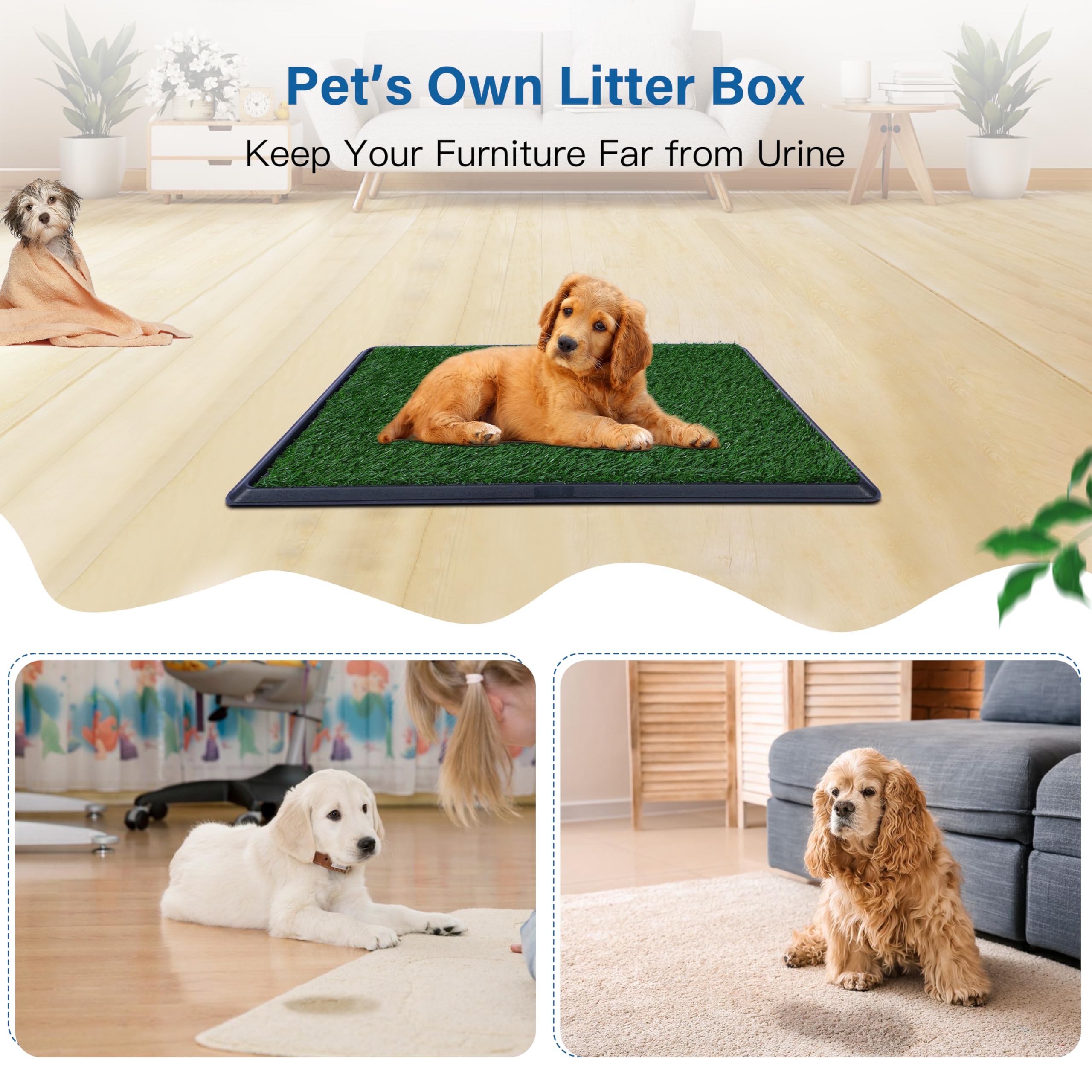 FluffyDream three-size option helps accommodate puppies to larger dogs.