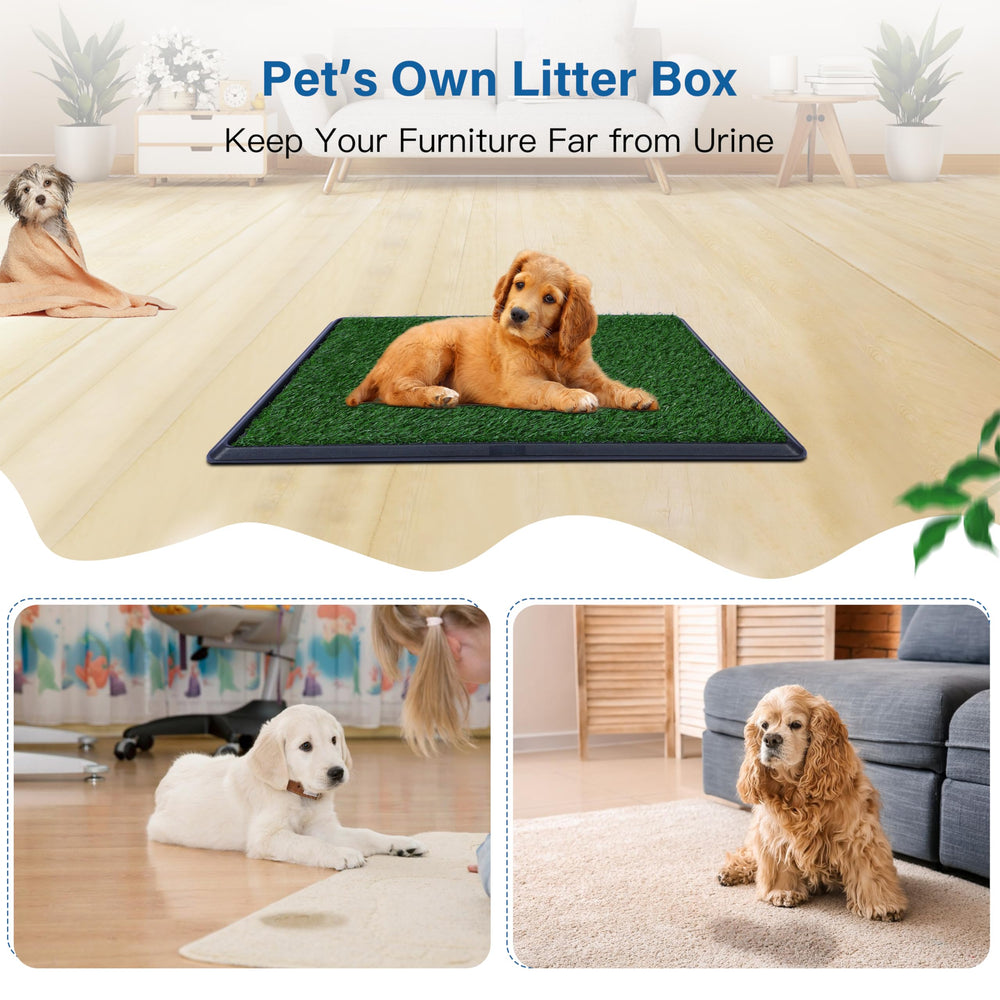 FluffyDream three-size option helps accommodate puppies to larger dogs.
