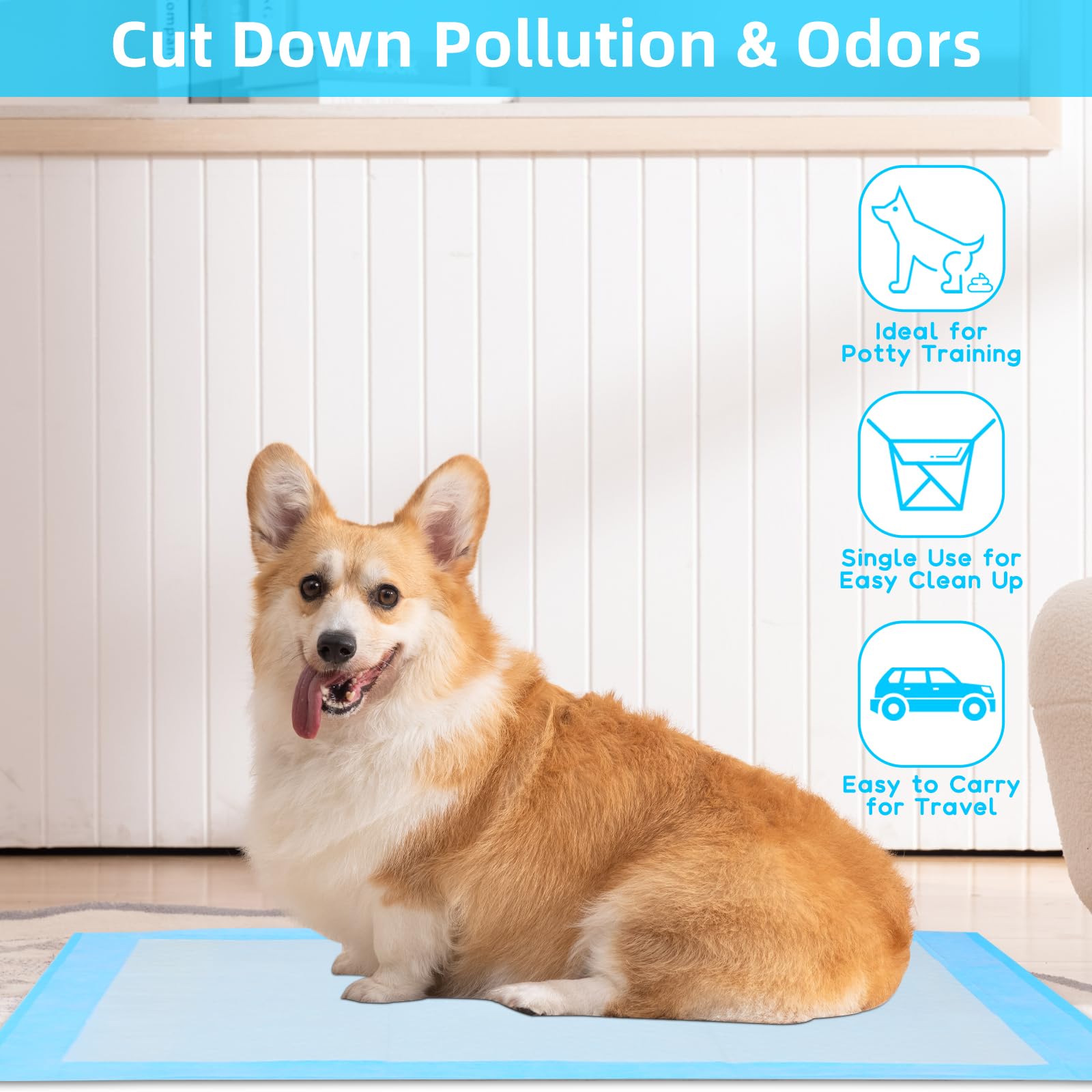 FluffyDream training pad with multi-layer design delivers quick absorption and leak protection.