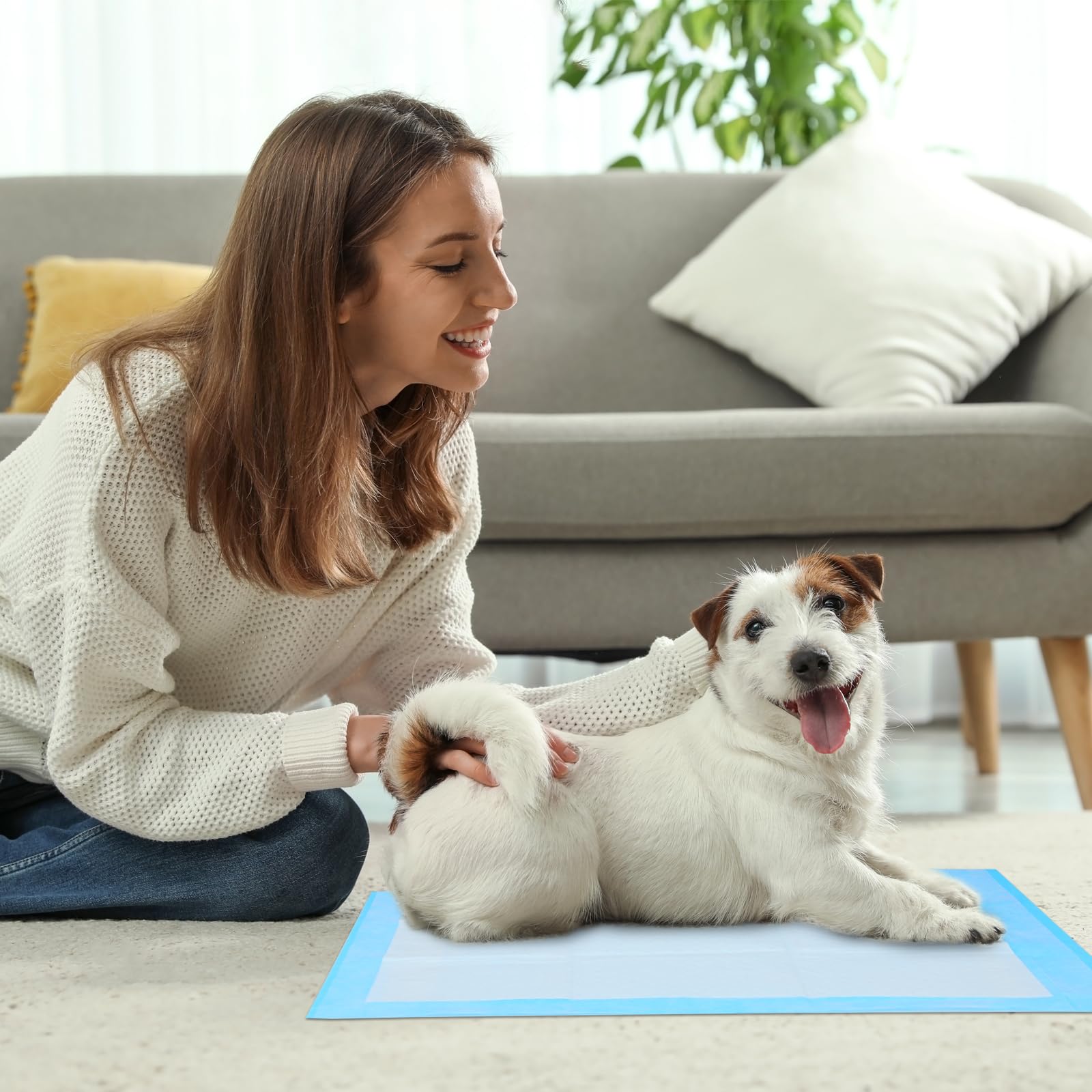 FluffyDream pad fits crates and car trips when you’re away