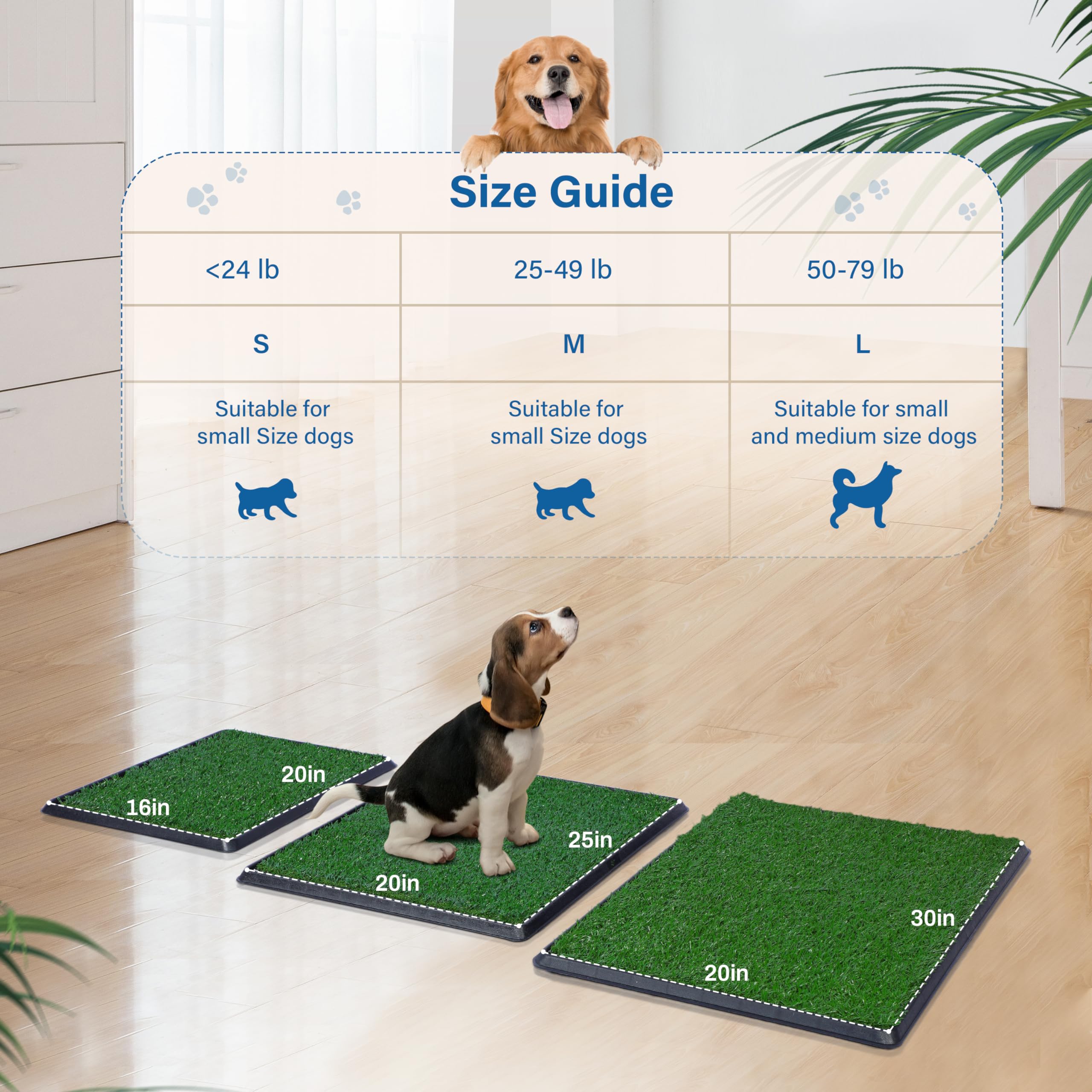 FluffyDream training-friendly setup with fixed potty location and rewards.