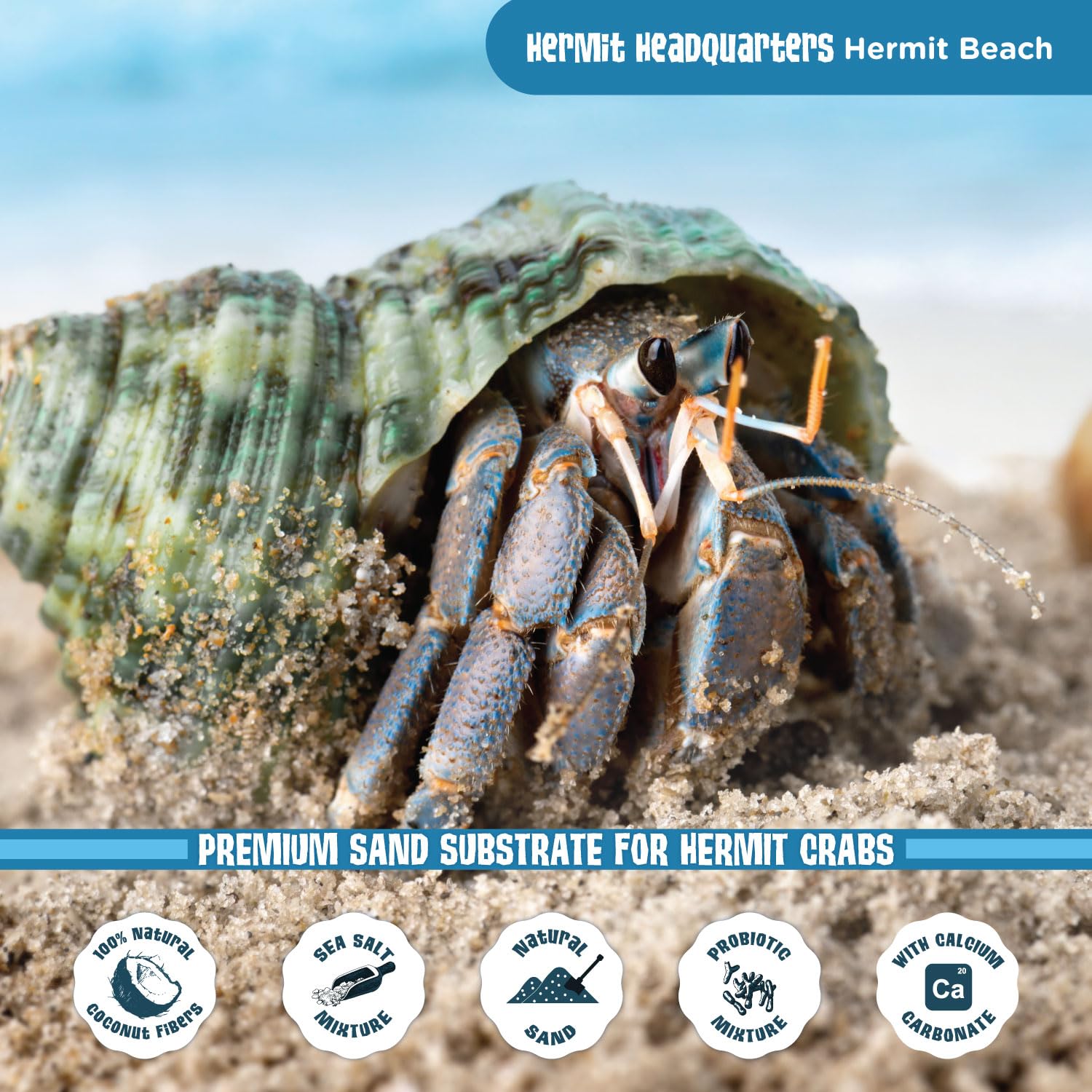 Fluker's substrate with added probiotics for cleaner hermit crab habitat