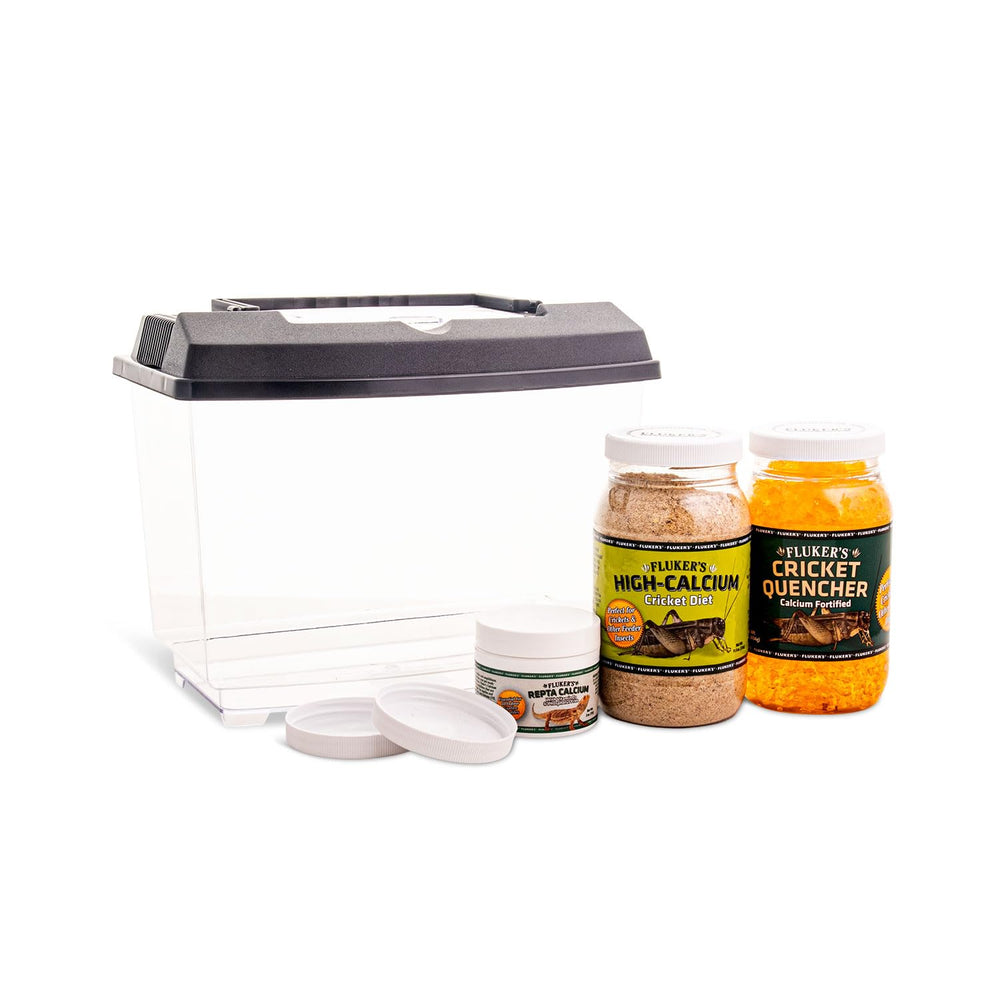 Fluker's Cricket Keeper Kit in a plastic terrarium offers easy cricket monitoring.