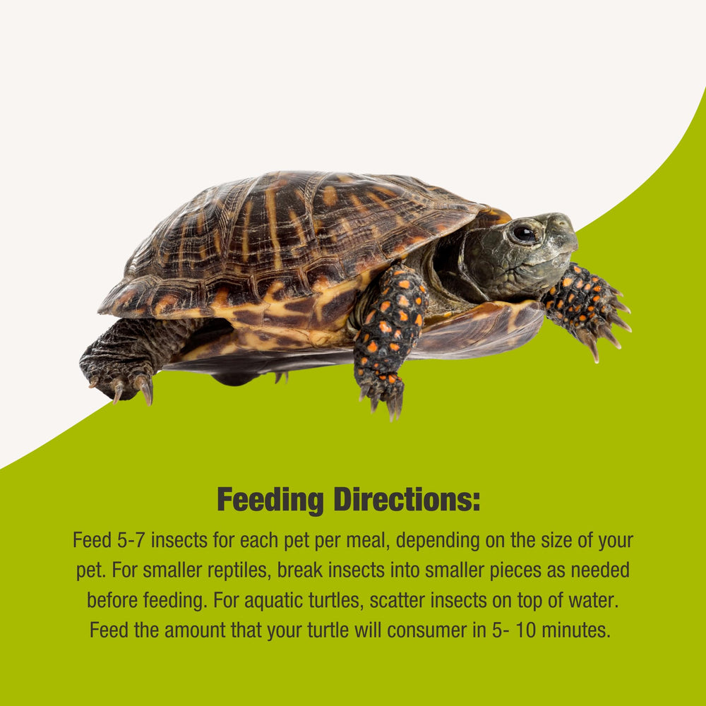 Resealable pouch shown for Fluker's Grub Bag Turtle Treats