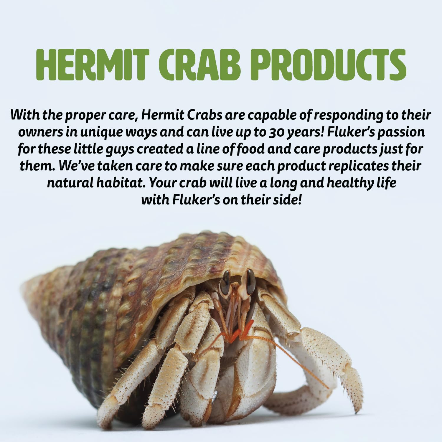 Fluker's heat-conductive substrate helps maintain warm tank conditions