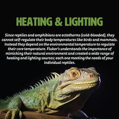Fluker's Repta-Clamp Lamp heavy-duty frame ensures stable placement.