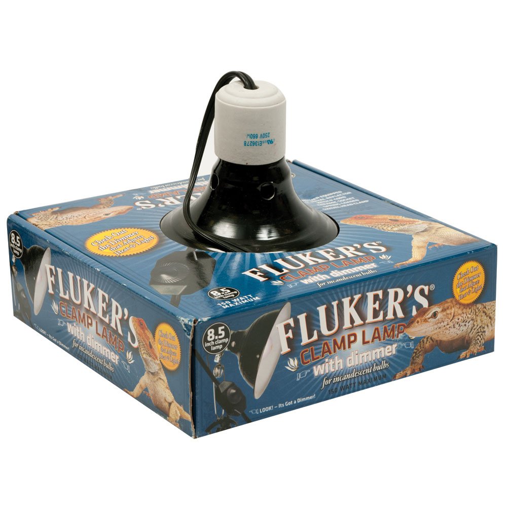 Fluker's Repta-Clamp Lamp over terrarium provides steady basking heat.