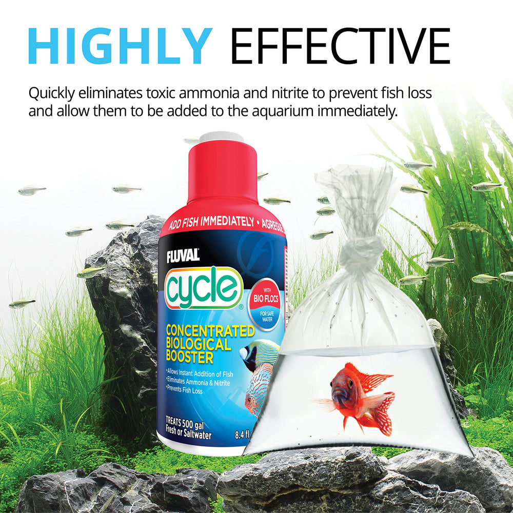 Pouring Fluval Cycle into aquarium water during setup.