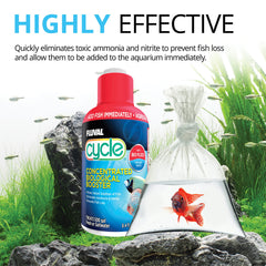 Pouring Fluval Cycle into aquarium water during setup.