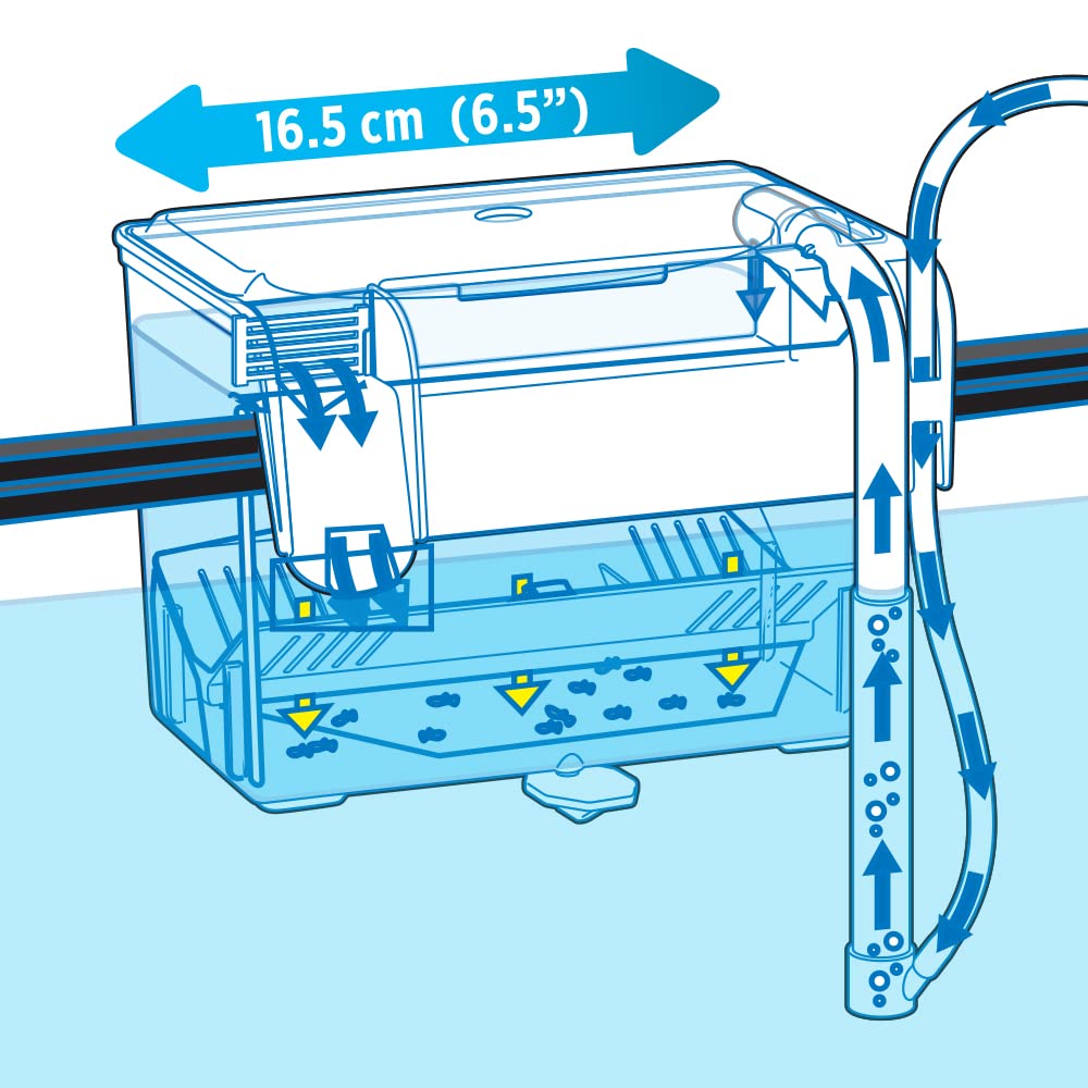 Fluval holding box use-case showing isolation and acclimation