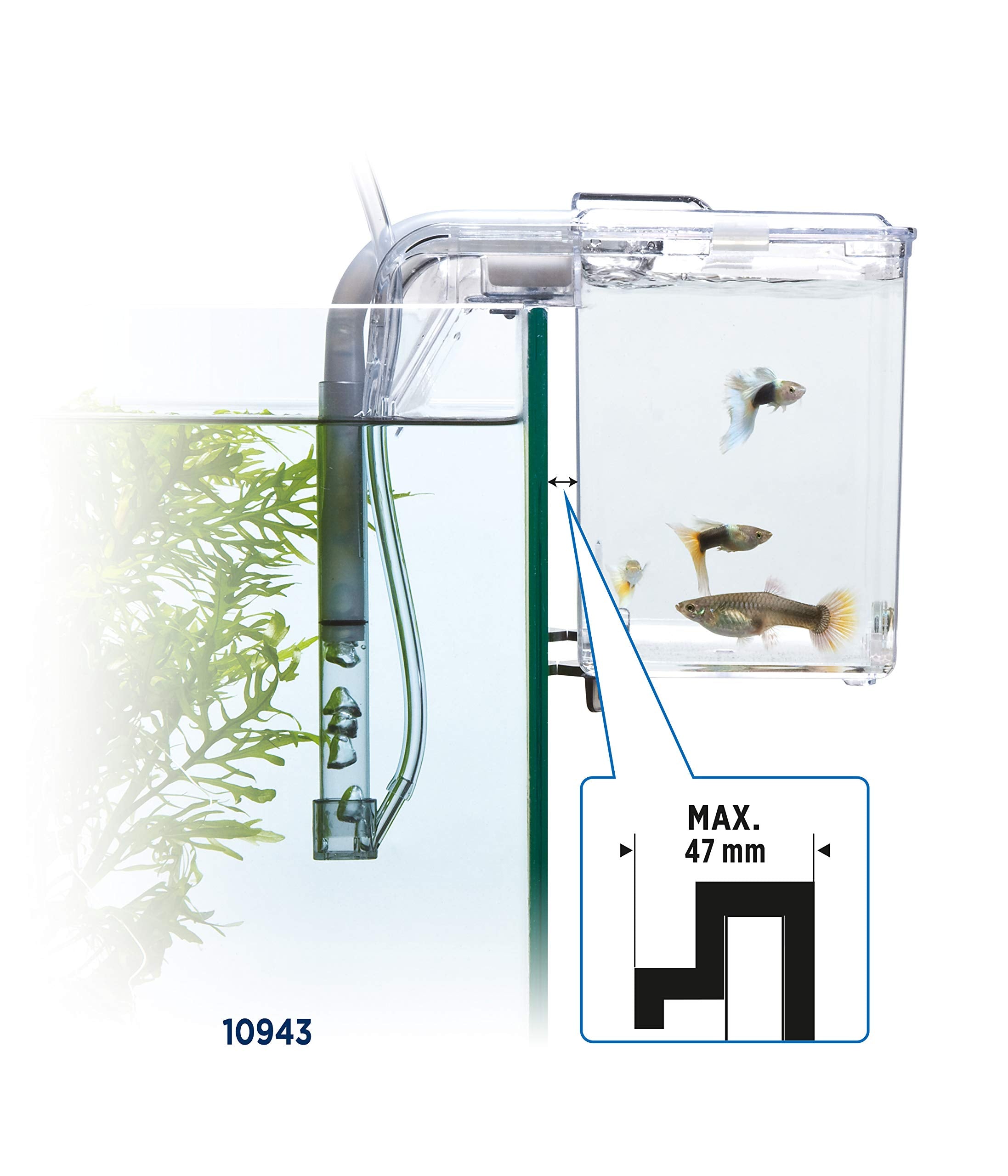 Uses conditioned tank water with no extra heater or filter needed.