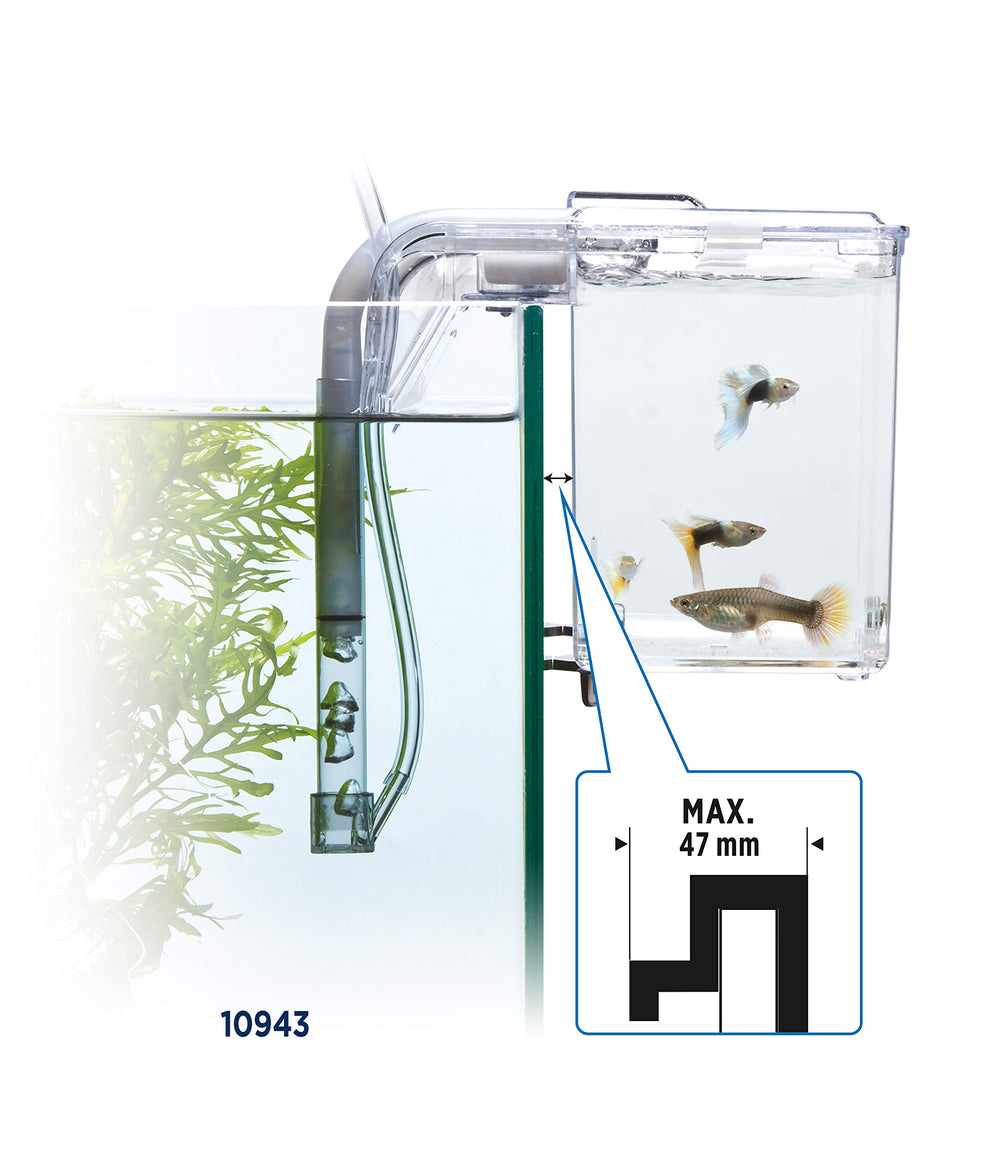 Uses conditioned tank water with no extra heater or filter needed.