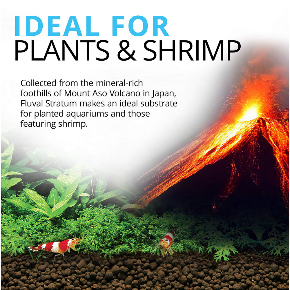 Fluval Stratum enables rapid bacterial colonization for healthy water in planted tanks.