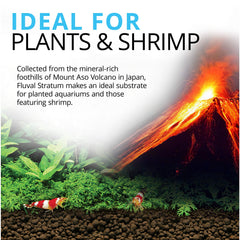 Fluval Stratum enables rapid bacterial colonization for healthy water in planted tanks.