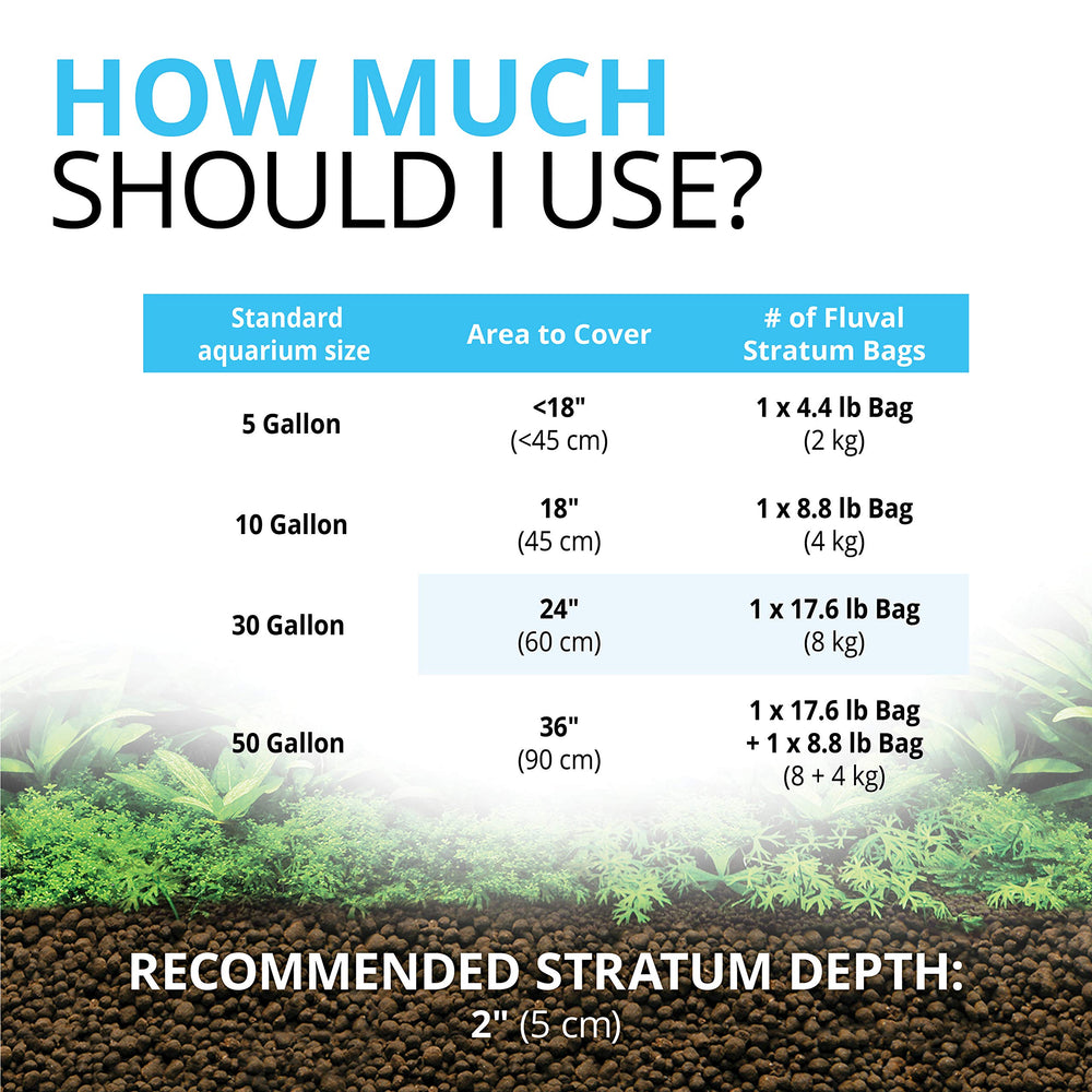 Water remains clear with Fluval Stratum even with driftwood in the tank.