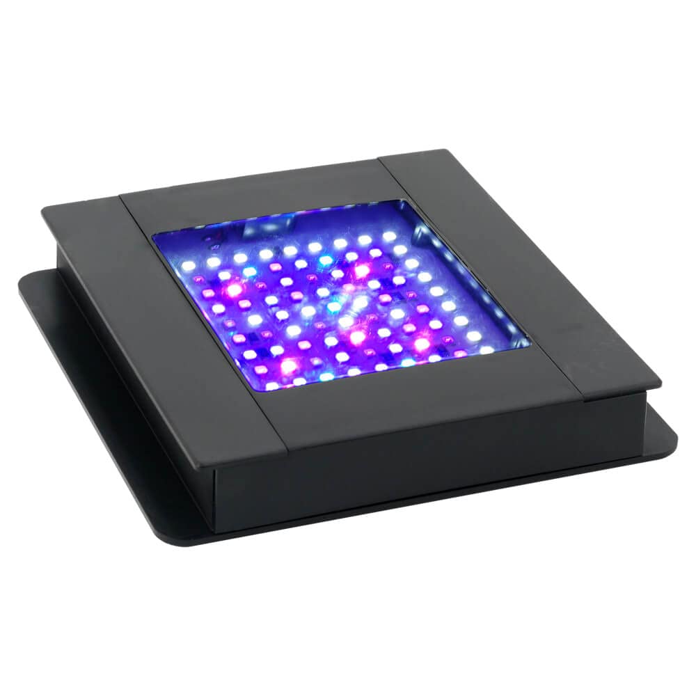 Fluval SEA Nano LED mounted over glass for flexible reef placement.