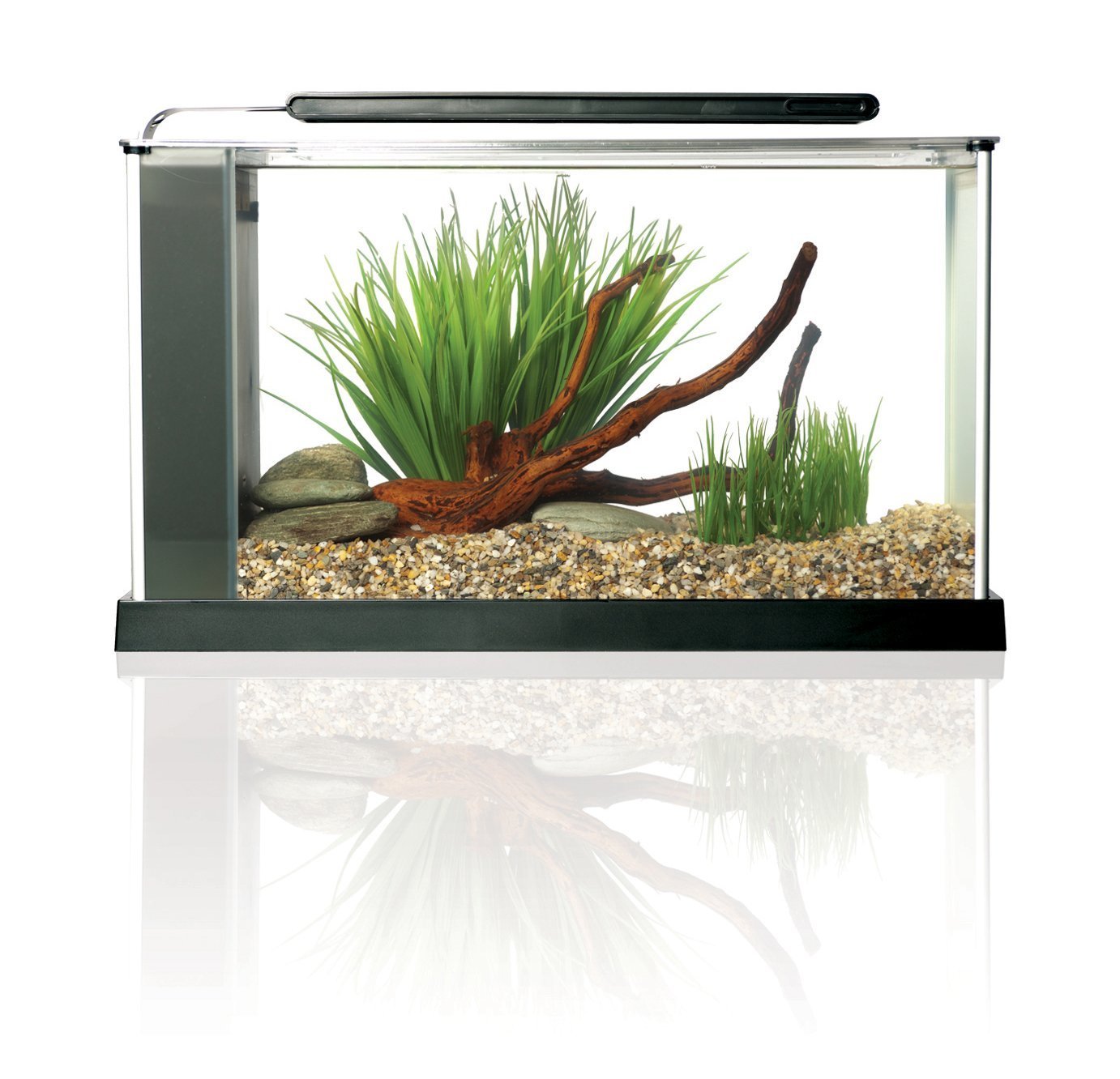 Fluval SPEC etched glass with aluminum trim for a sleek look