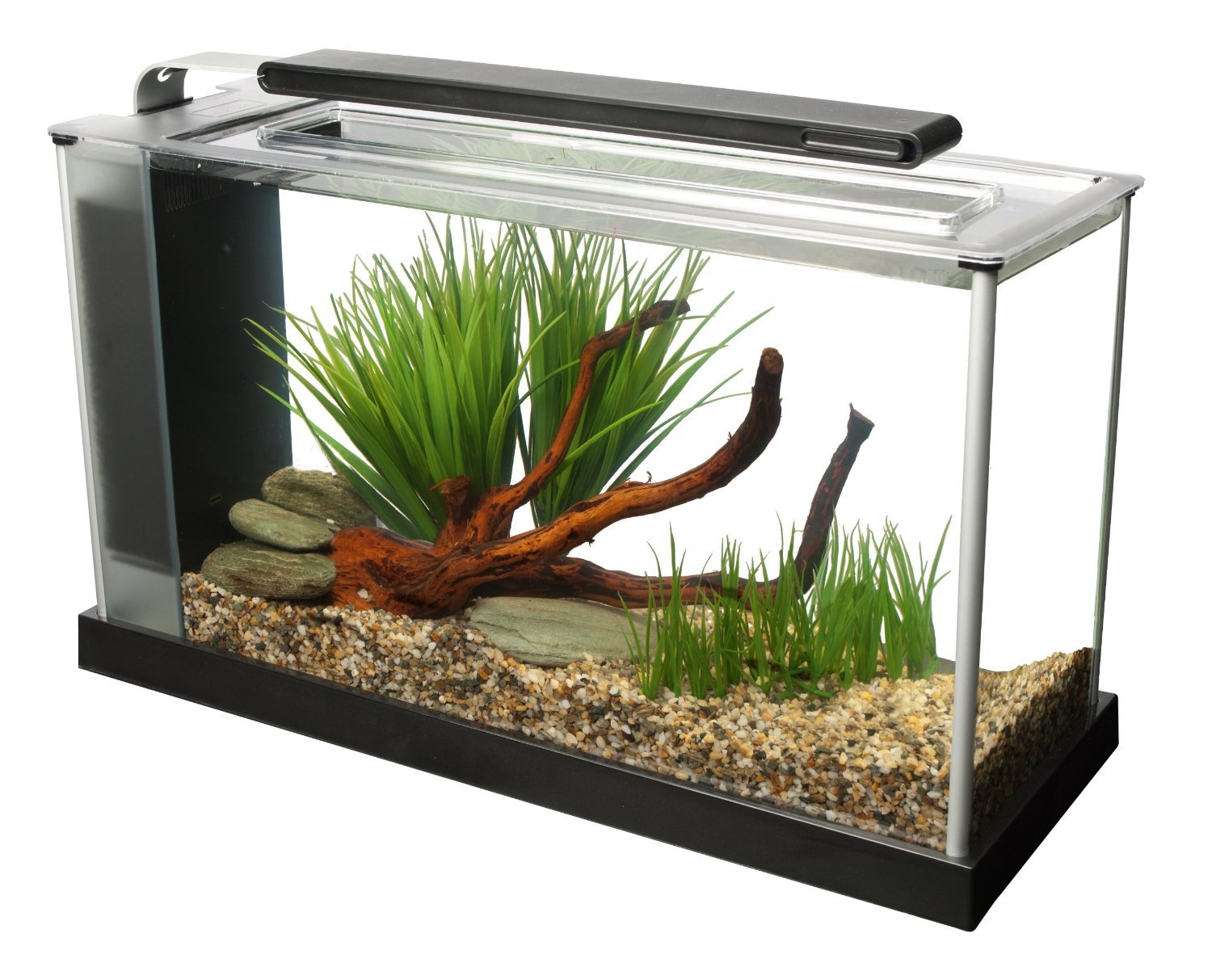 Fluval SPEC LED overhang lighting enhances color and visibility in the tank