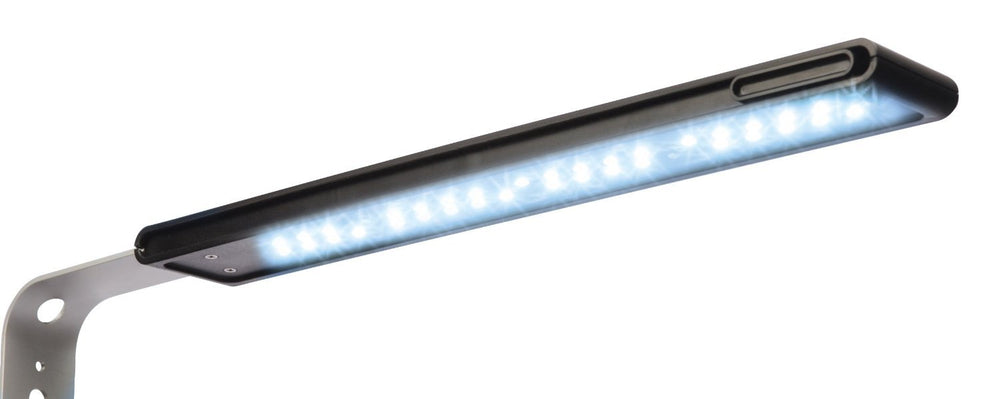 Fluval SPEC three-stage filtration with foam, carbon, and BioMax