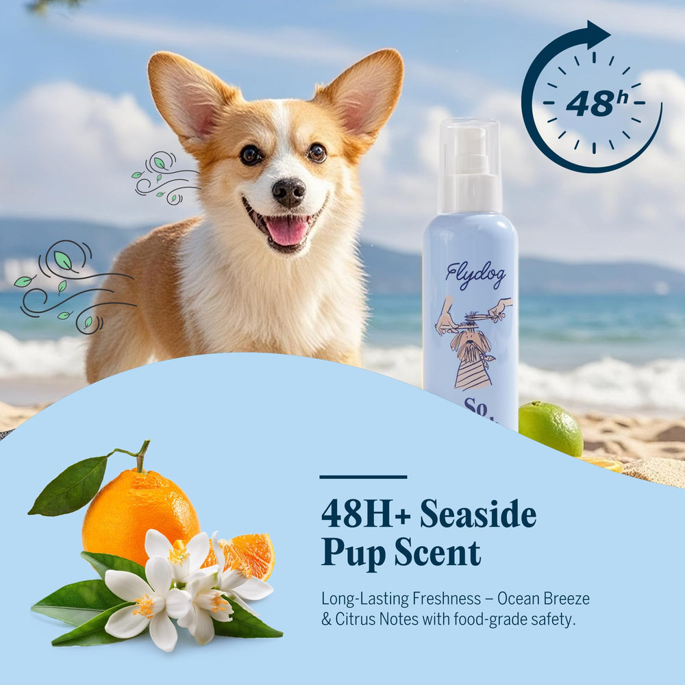 FlyDog deodorizing spray leaves fresh scent on coat