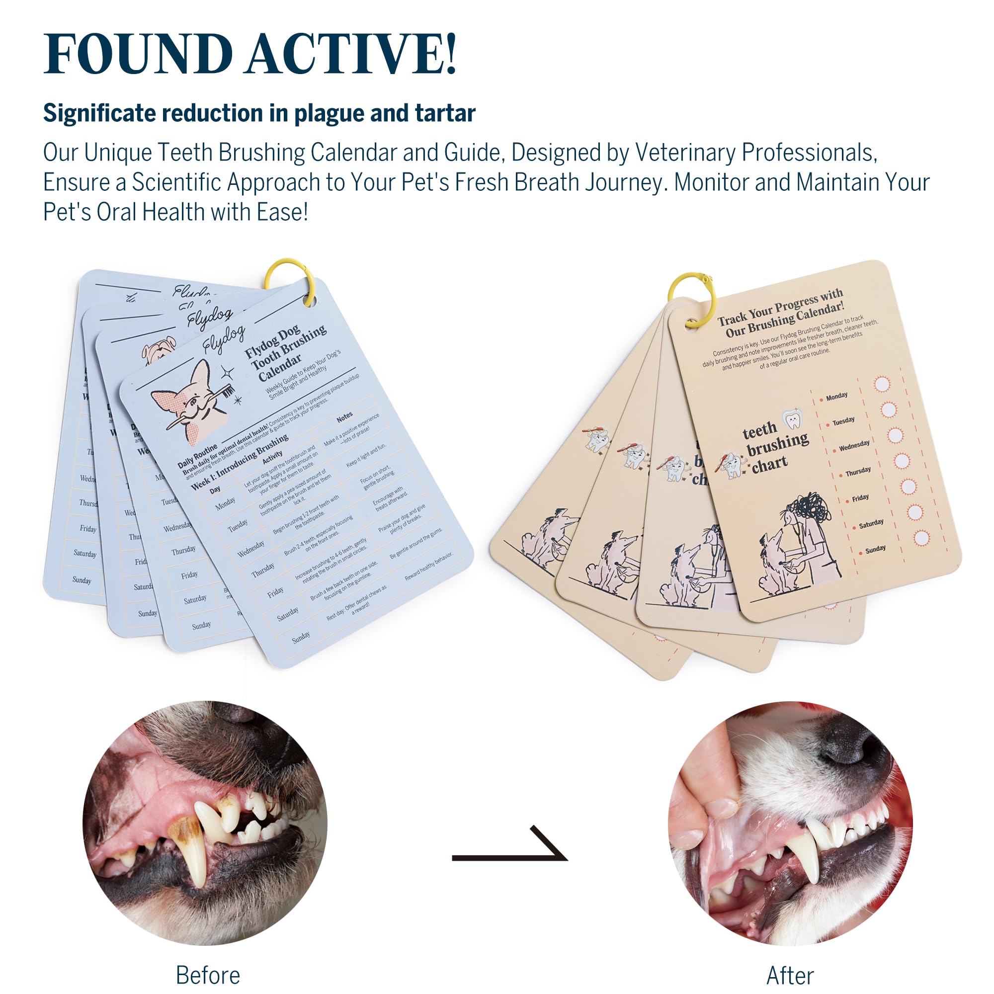 FlyDog Fresh Kiss dental guide helps owners follow a brushing routine.