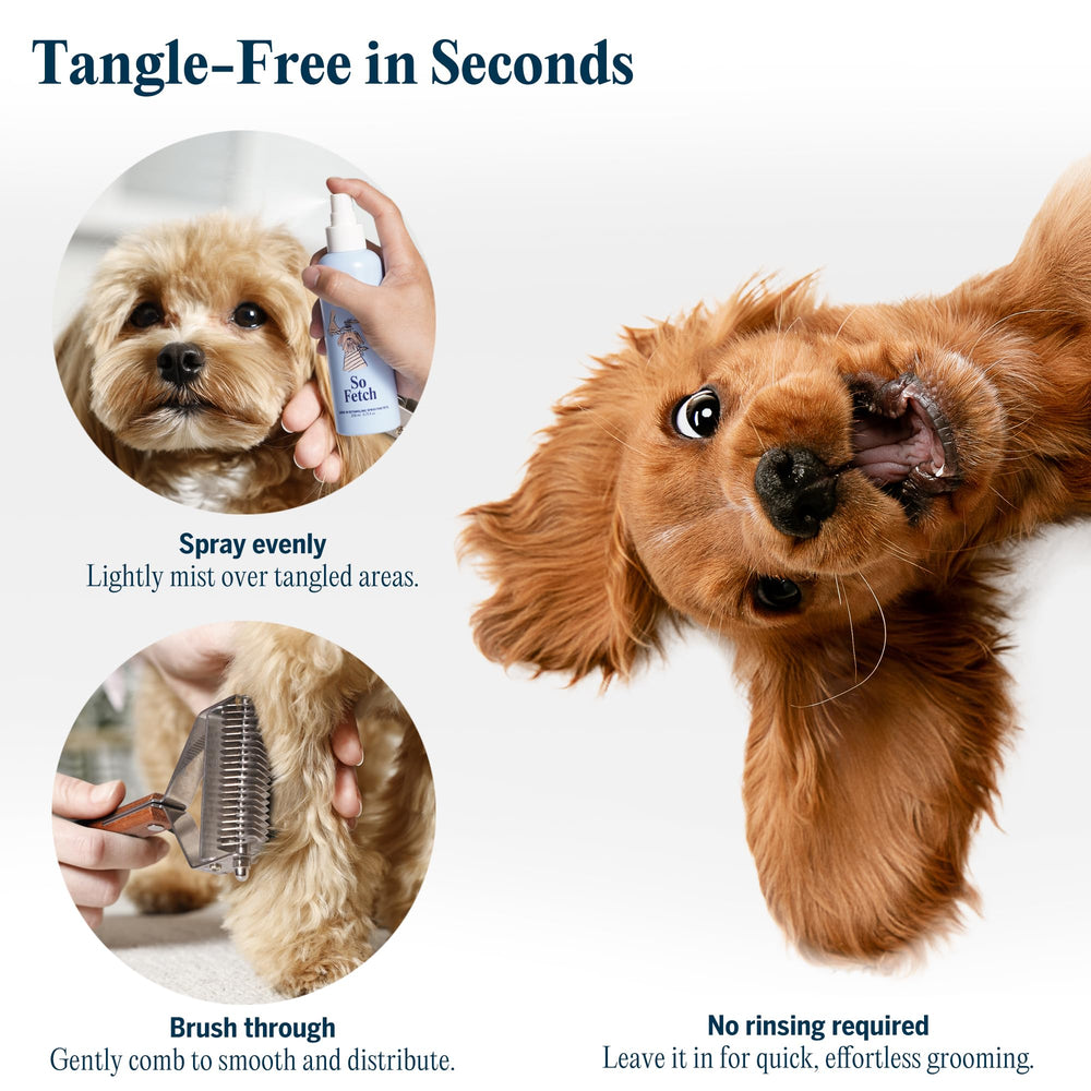 Label shows hypoallergenic, vet-approved formula by FlyDog