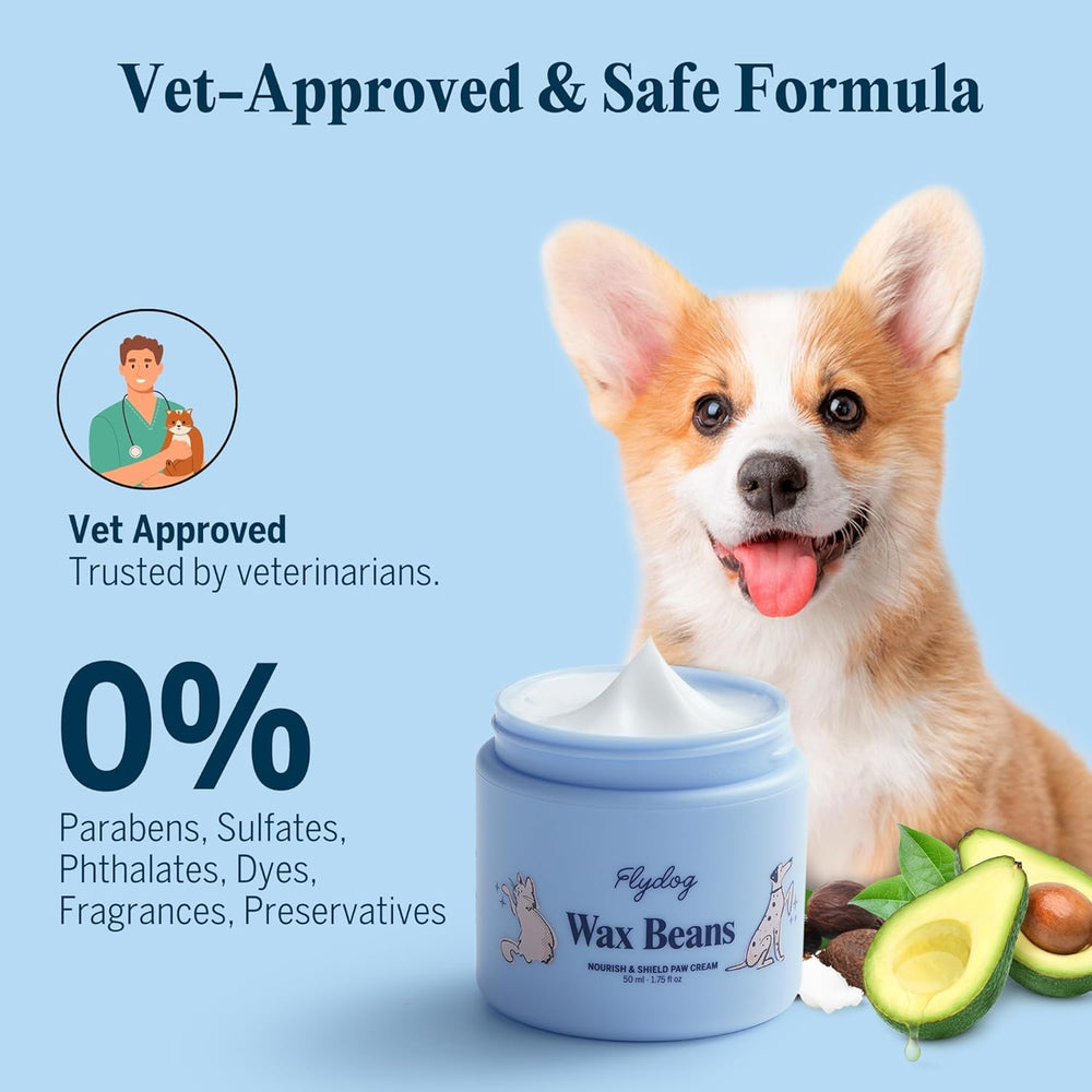 Flydog Lick-Safe Paw Cream applied to paw before a walk.