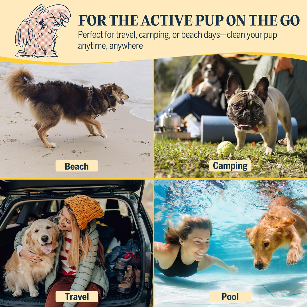 Flydog on-the-go grooming for quick post-walk cleanups