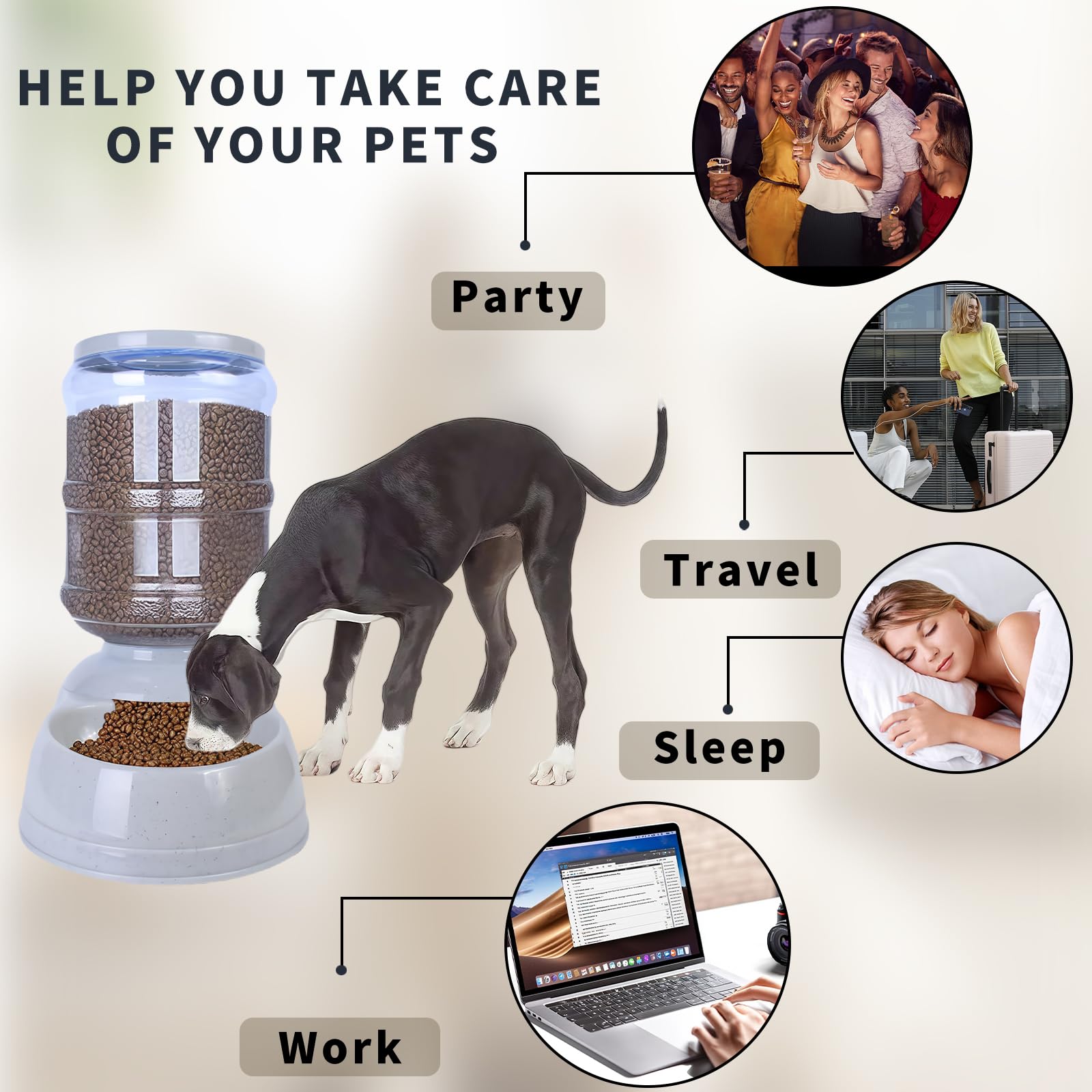 Flying Dove automatic feeder simplifies mealtimes with convenient fill-and-go design
