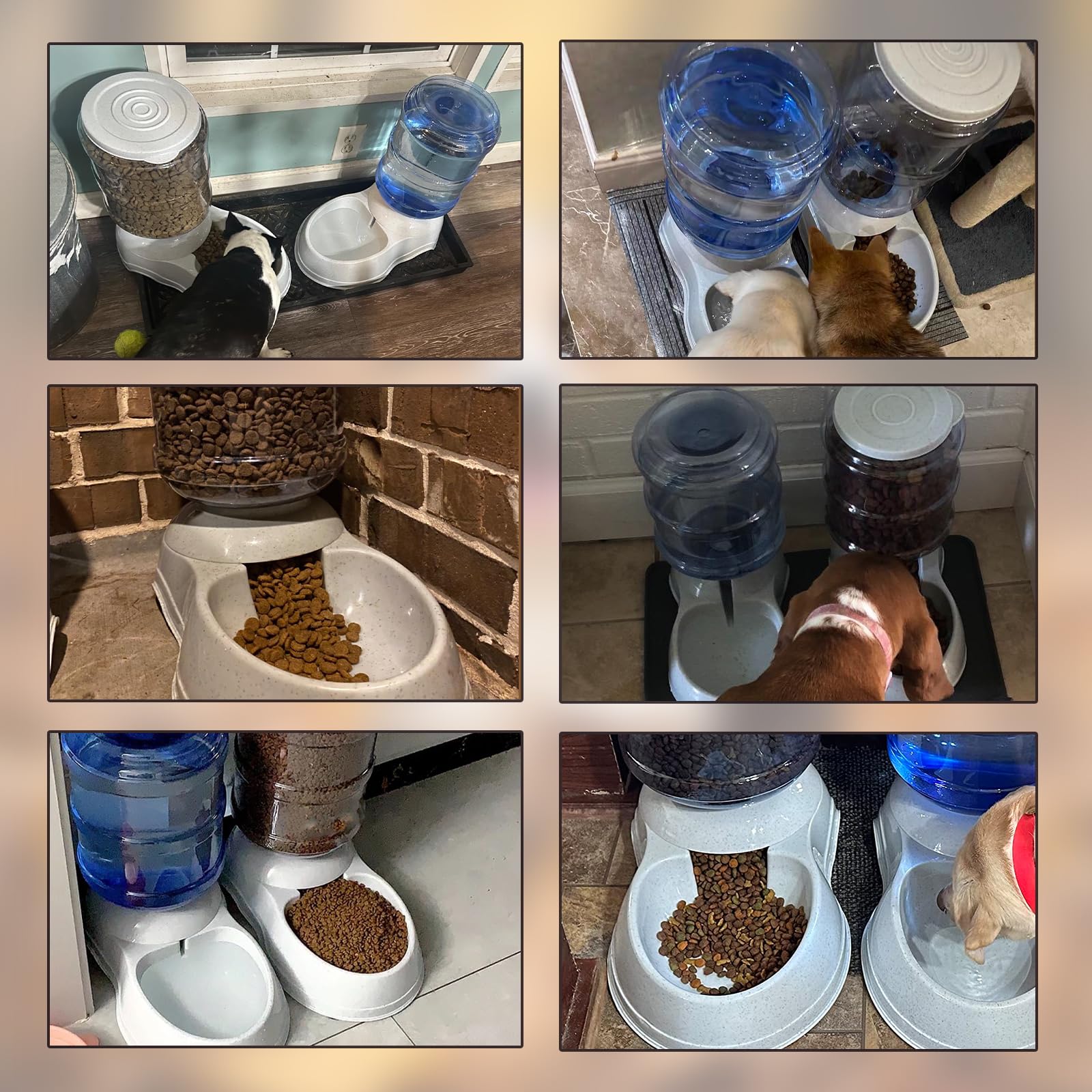 Flying Dove sturdy pet feeder suited for large breeds promoting reliable access