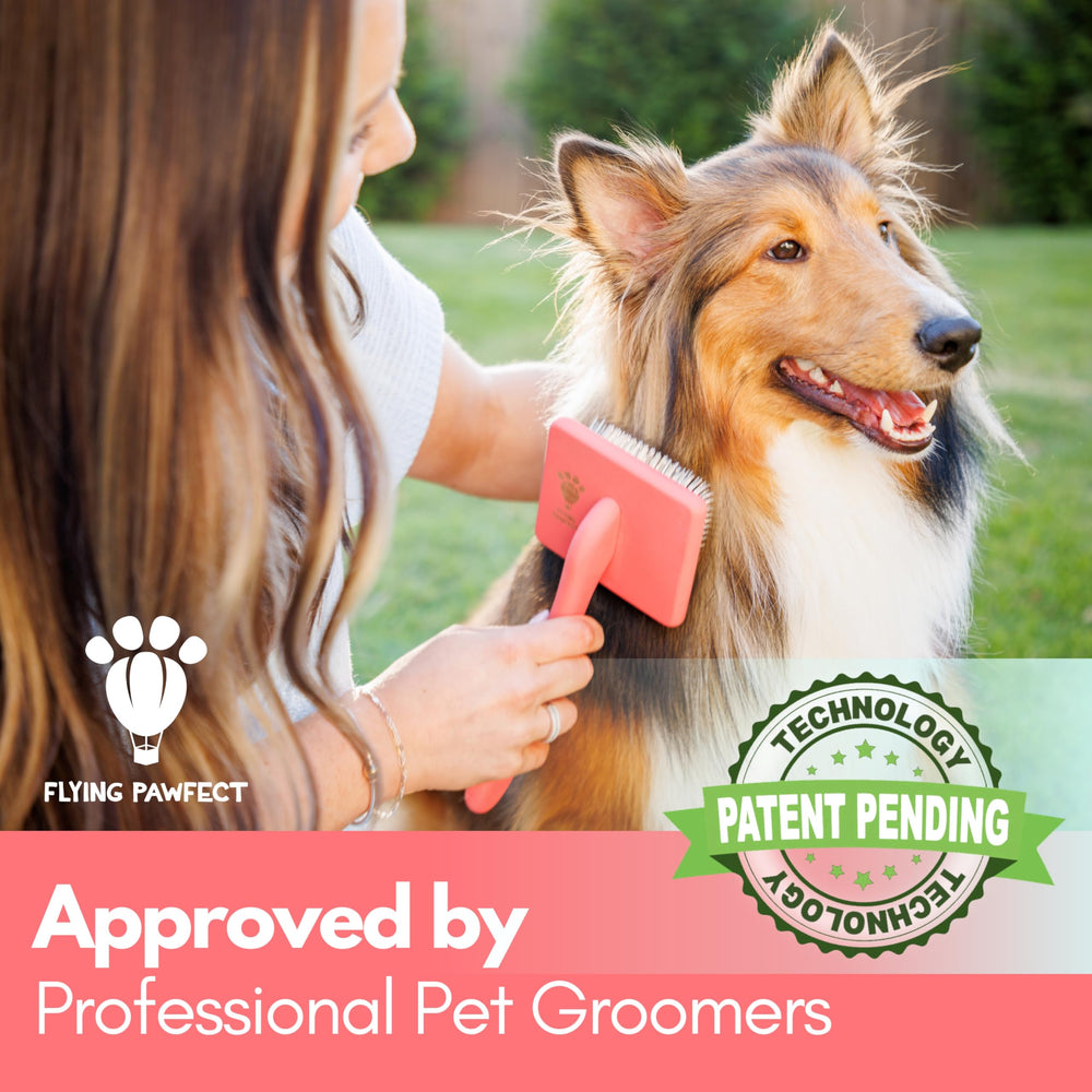 Flying Pawfect ergonomic handle brush showing comfortable grip for grooming.