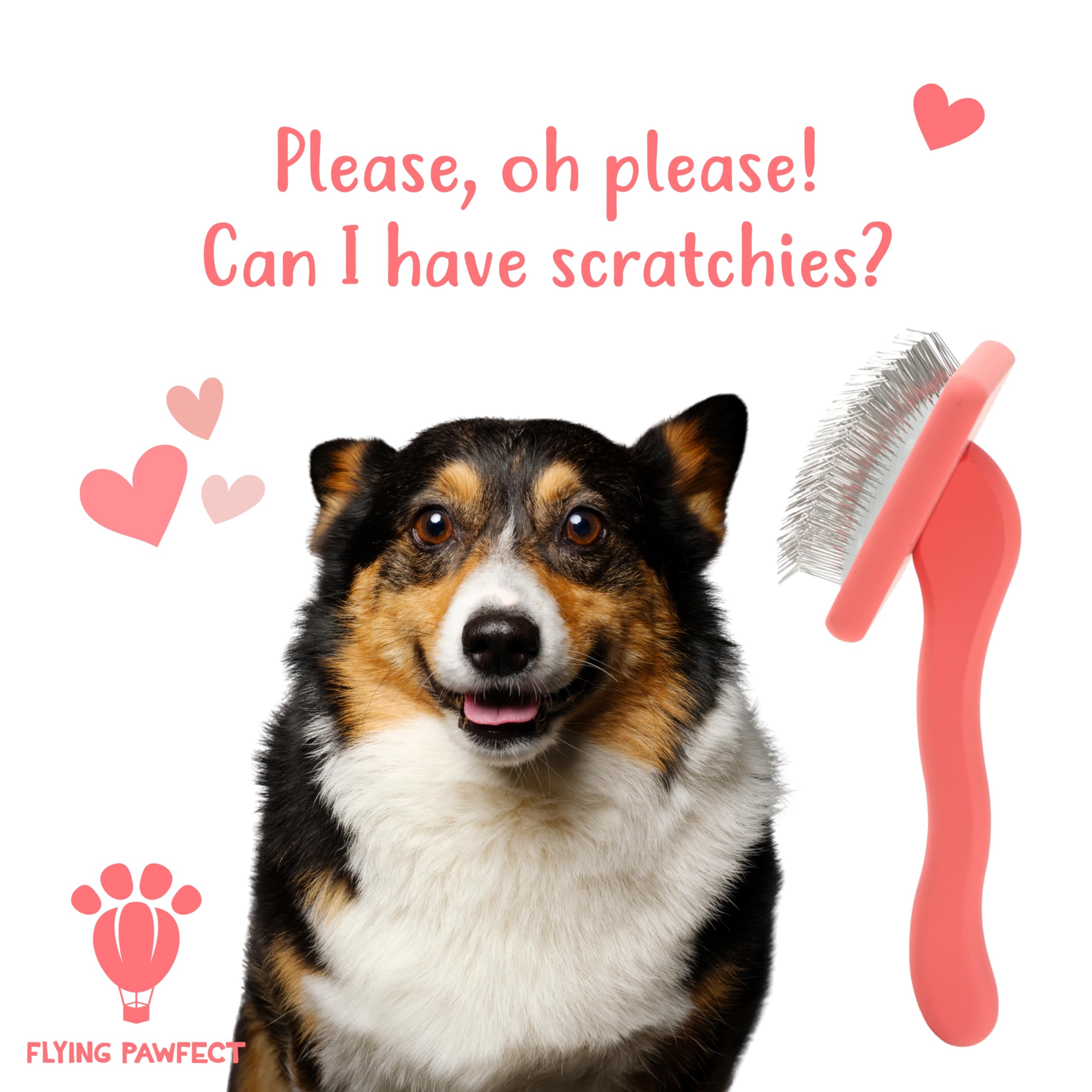 Flying Pawfect grooming session shows a calm, relaxed dog.